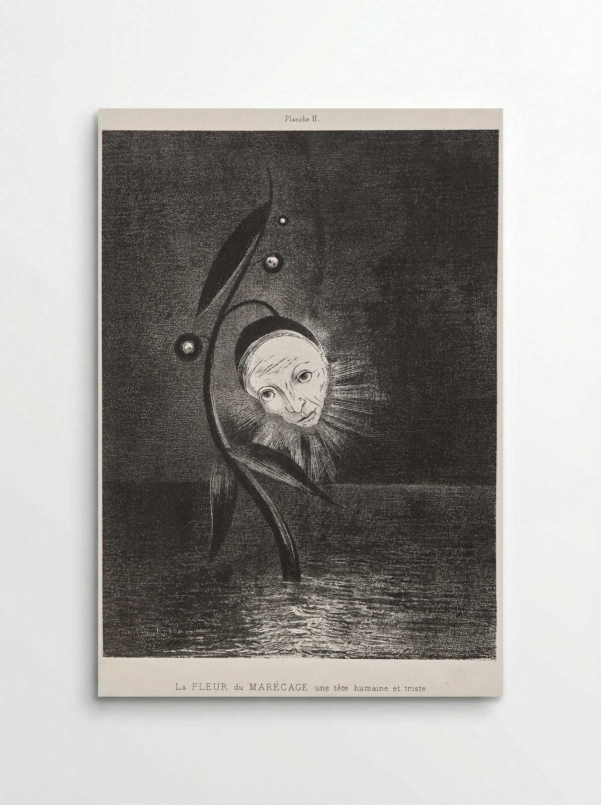 The Marsh Flower, a Sad Human Head - Odilon Redon - Poster