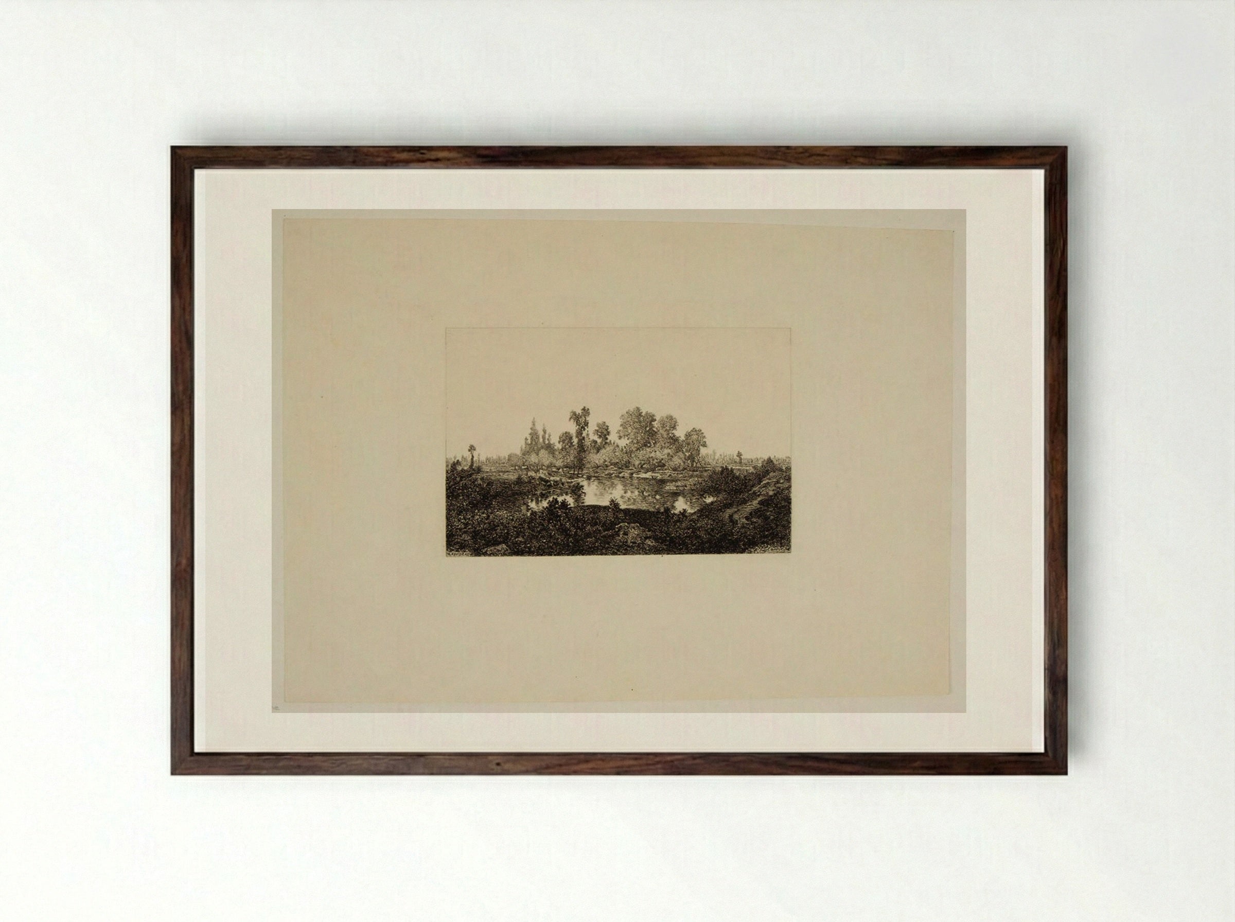 The Marsh - Maxime Lalanne - Framed Print Dark Wood