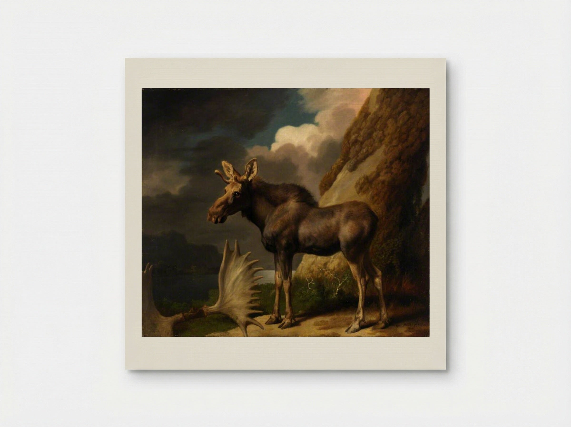 The Moose - George Stubbs - Poster