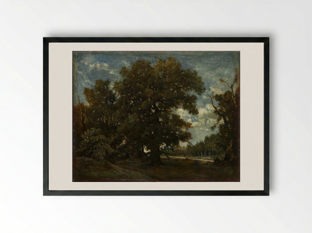 The Oak Tree - Théodore Rousseau - Framed Print Black