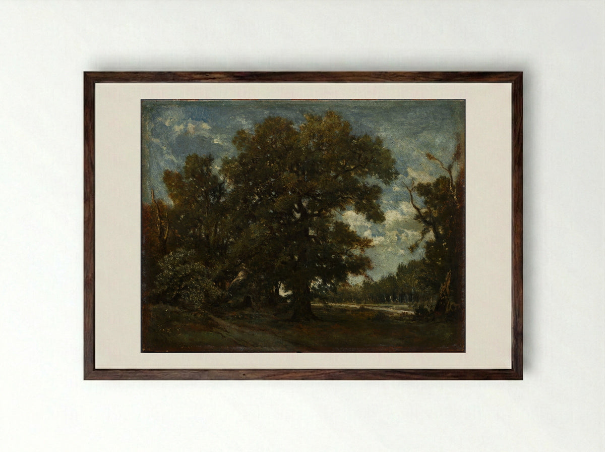 The Oak Tree - Théodore Rousseau - Framed Print Dark Wood