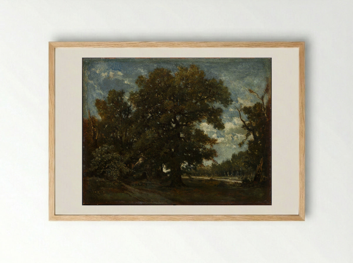 The Oak Tree - Théodore Rousseau - Framed Print Wood