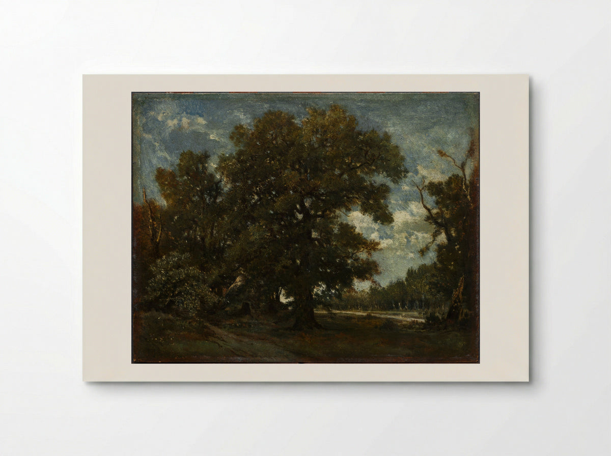 The Oak Tree - Théodore Rousseau - Poster