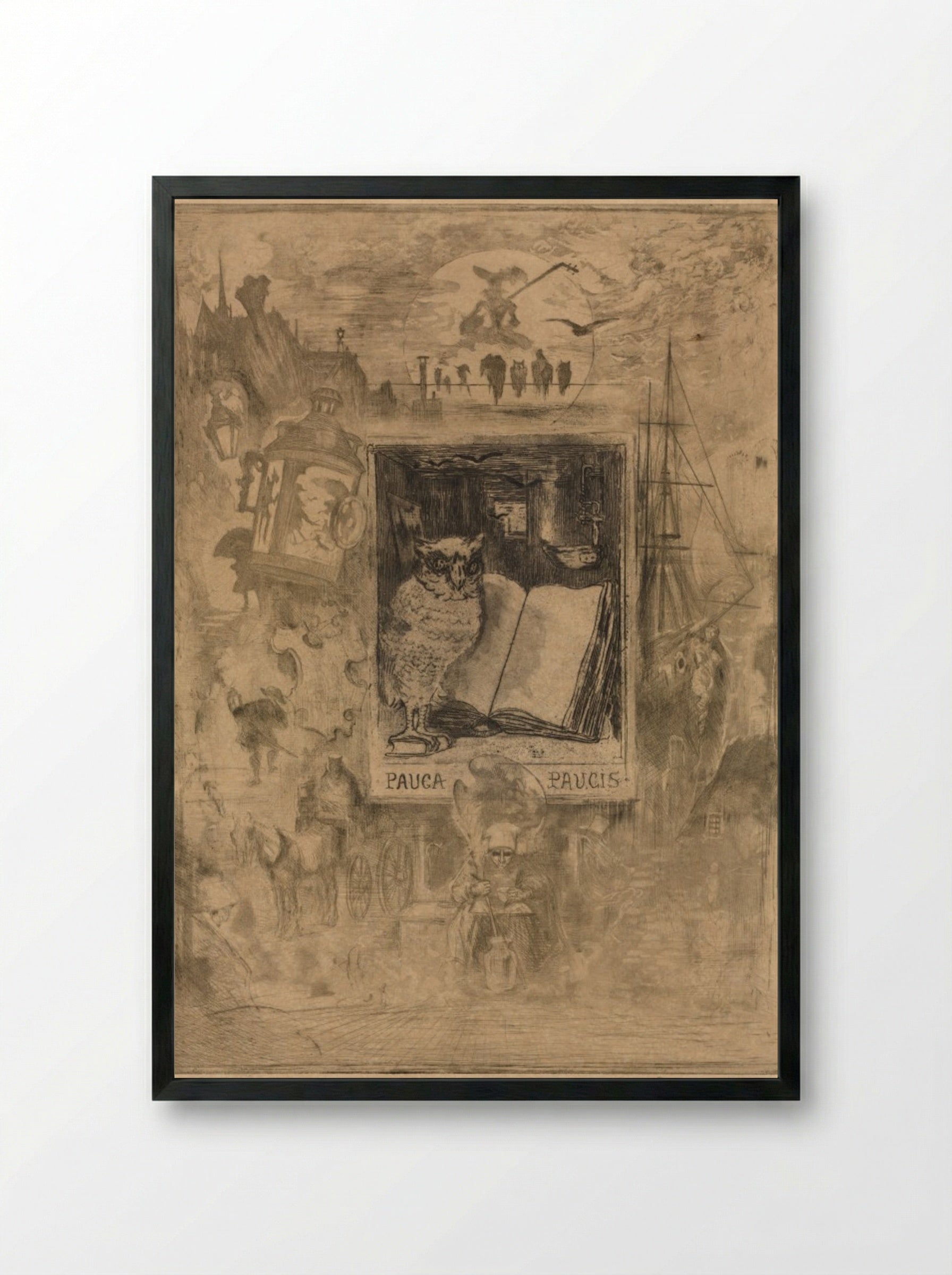 The Owl (Pauca Paucis) - Félix Hilaire Buhot - Framed Print Black