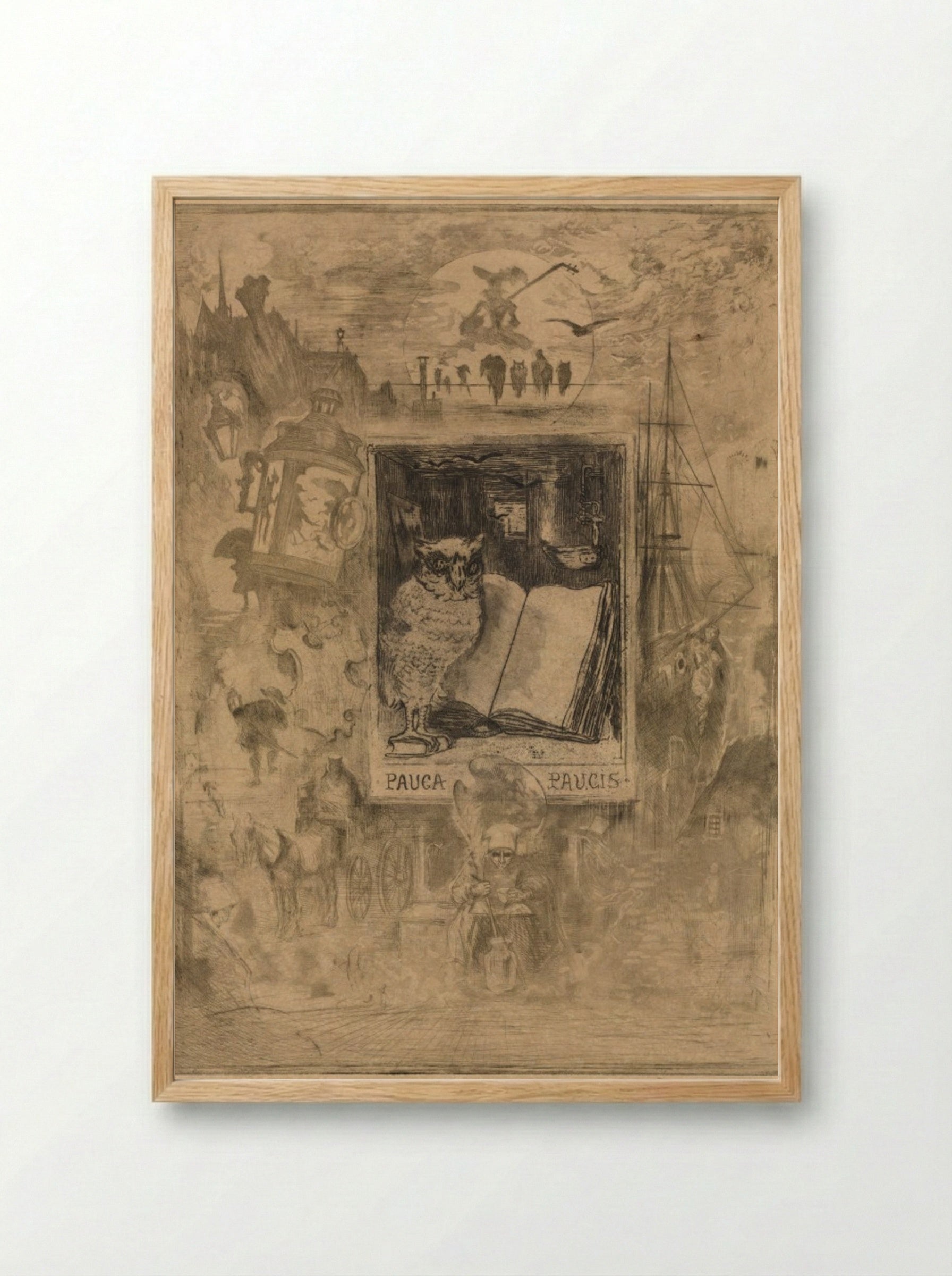 The Owl (Pauca Paucis) - Félix Hilaire Buhot - Framed Print Wood