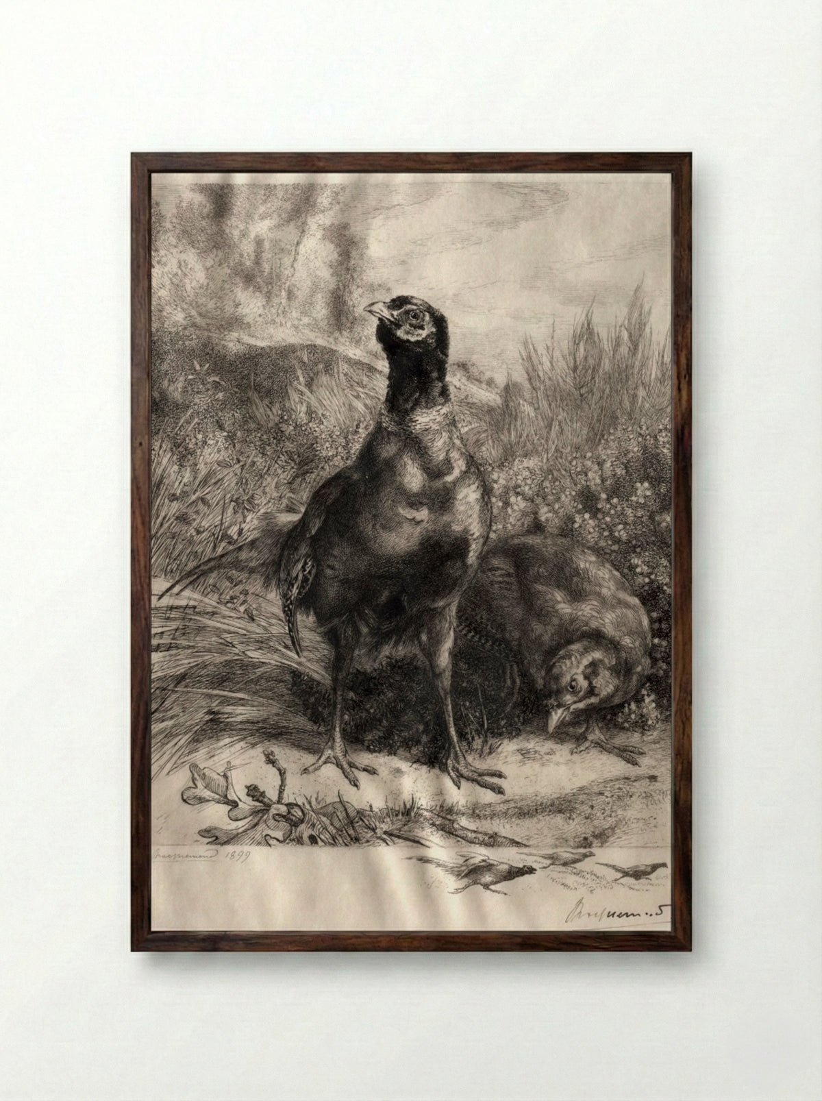 The Pheasants - Félix Bracquemond - Framed Print Dark Wood