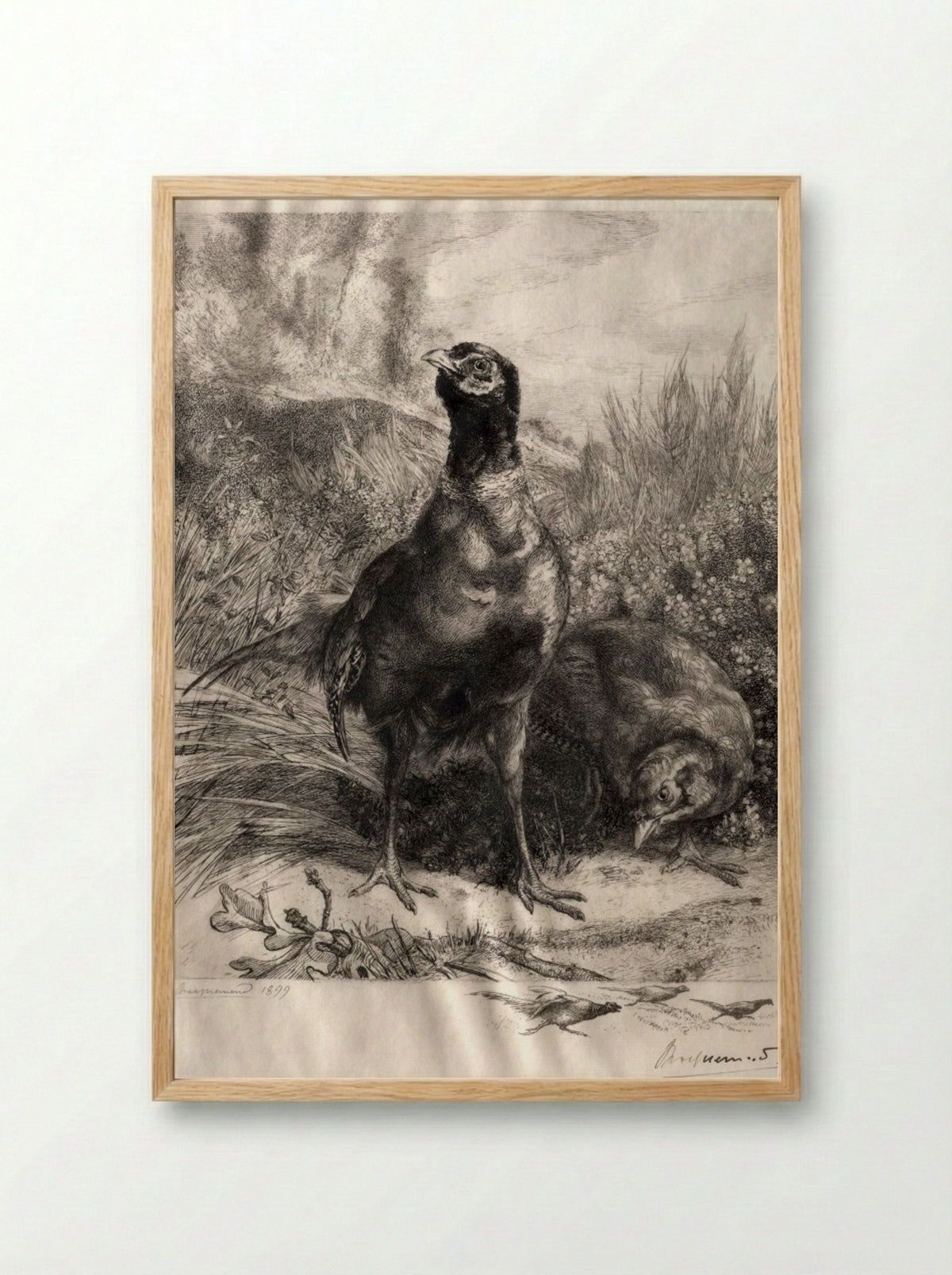 The Pheasants - Félix Bracquemond - Framed Print Wood