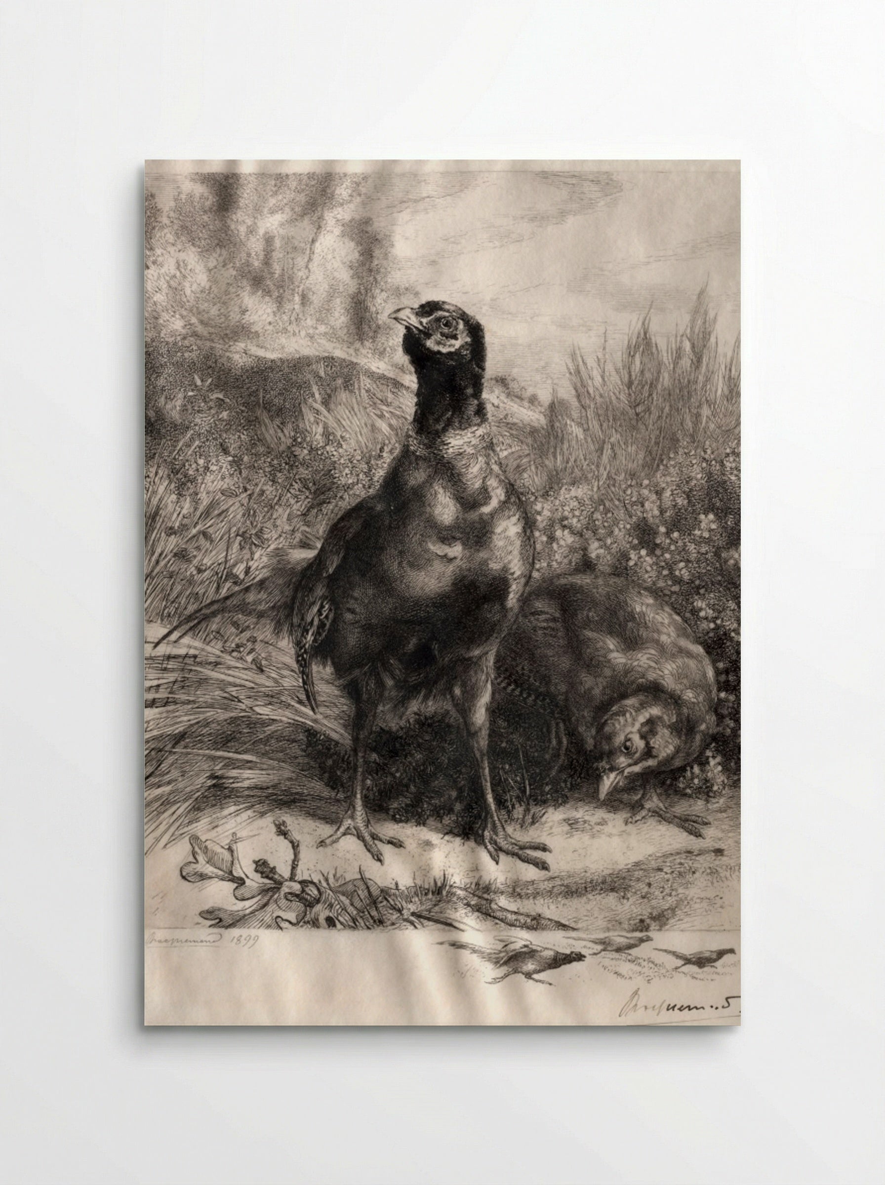 The Pheasants - Félix Bracquemond - Poster