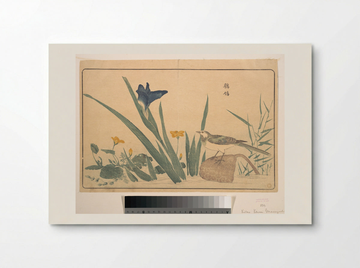 The Pied Wagtail - Kuwagata Keisai - Poster