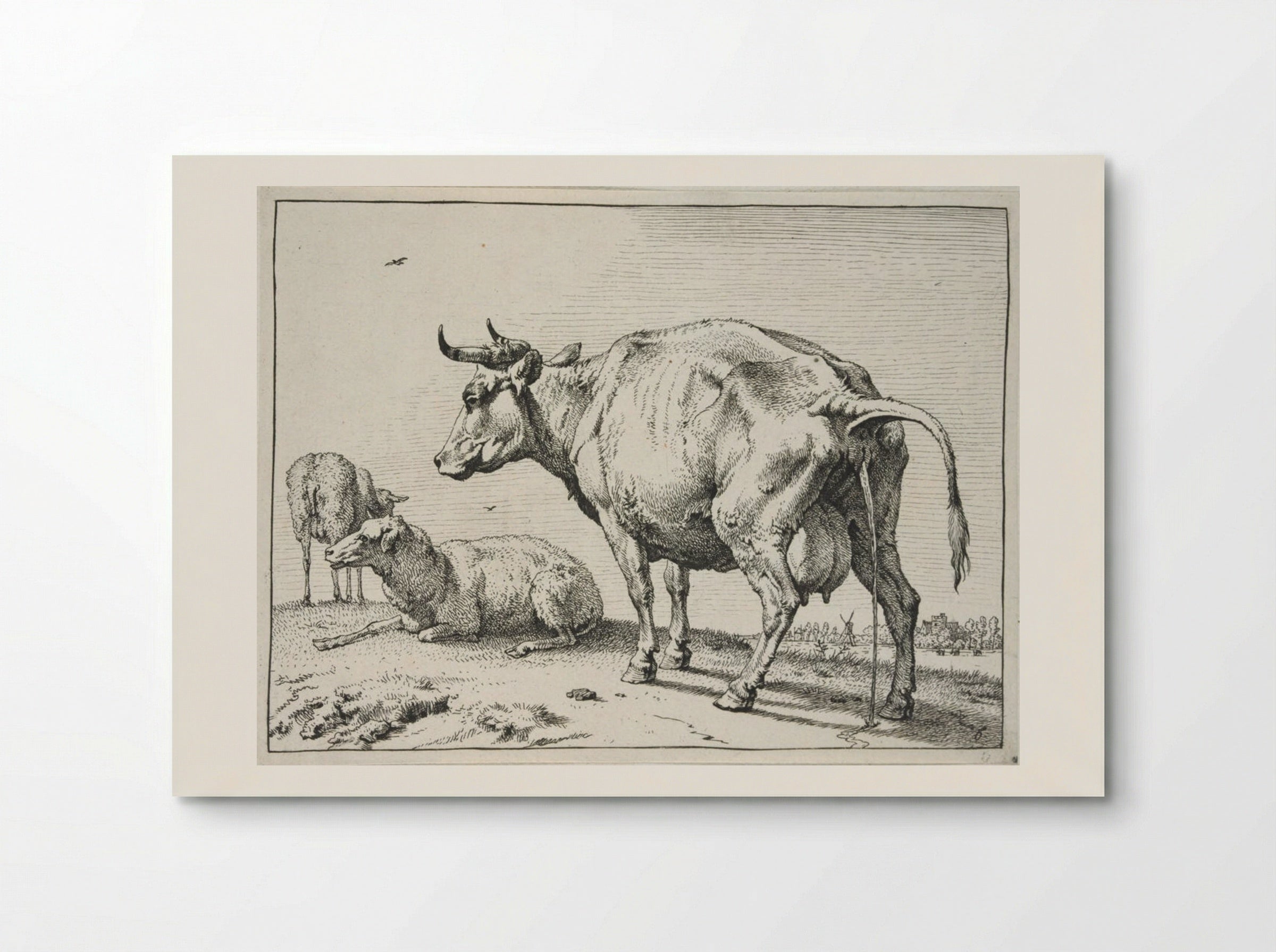 The Pissing Cow - Paulus Potter - Poster