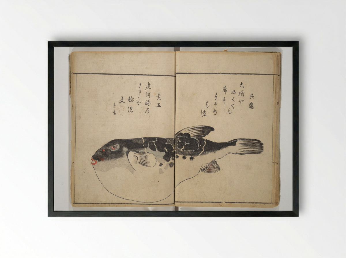 The Servants of the Dragon King of the Sea: Fish and Shells - Kuwagata Keisai - Framed Print Black