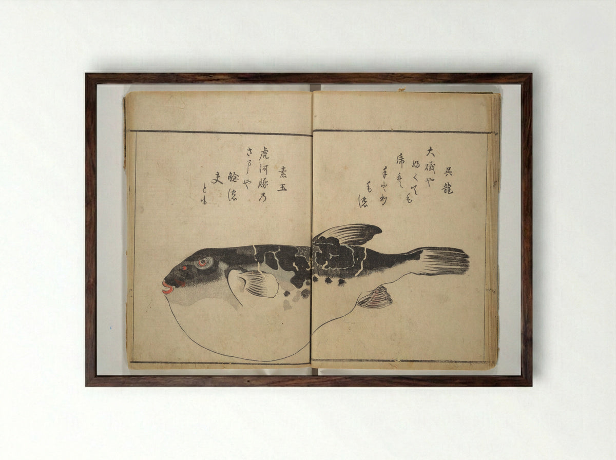 The Servants of the Dragon King of the Sea: Fish and Shells - Kuwagata Keisai - Framed Print Dark Wood