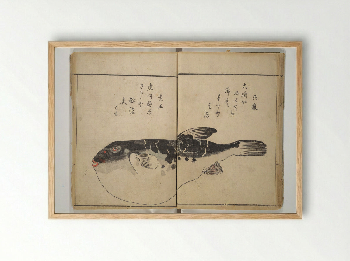 The Servants of the Dragon King of the Sea: Fish and Shells - Kuwagata Keisai - Framed Print Wood