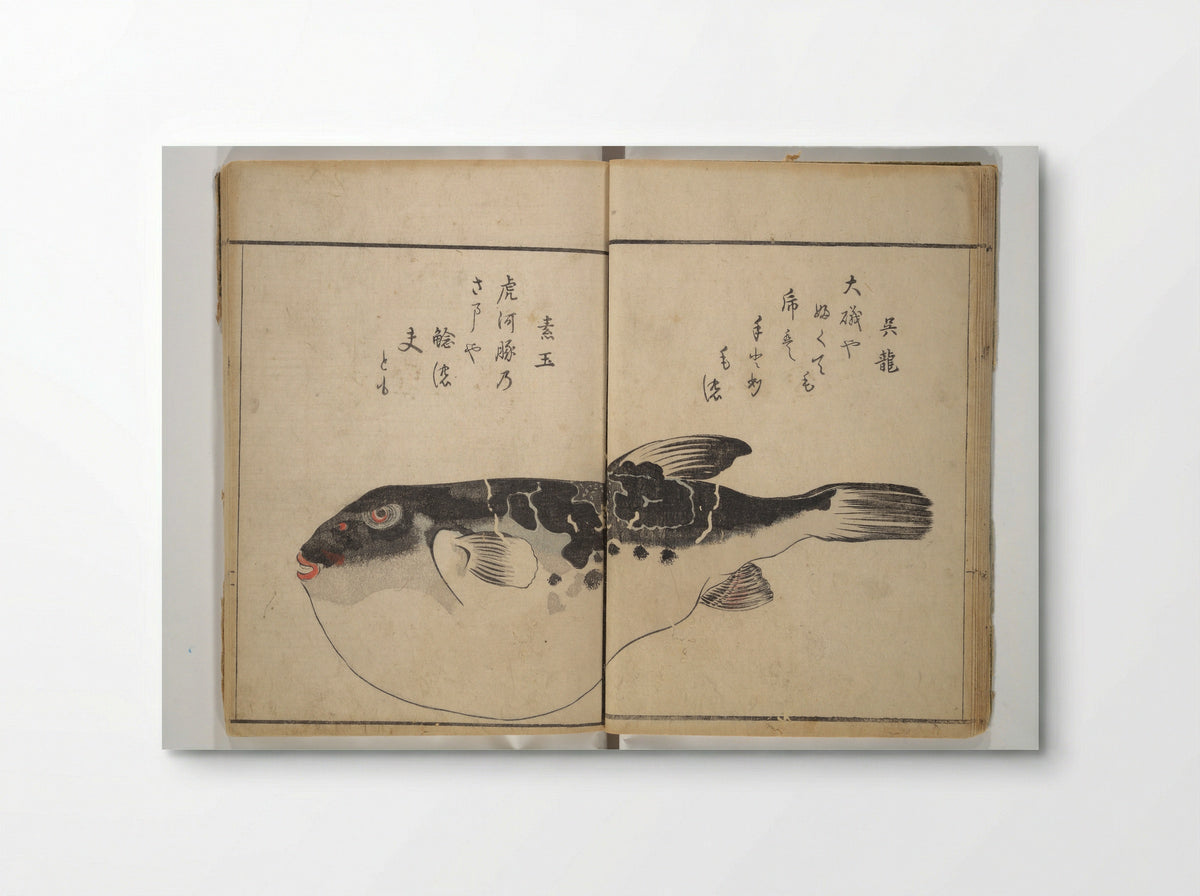 The Servants of the Dragon King of the Sea: Fish and Shells - Kuwagata Keisai - Poster