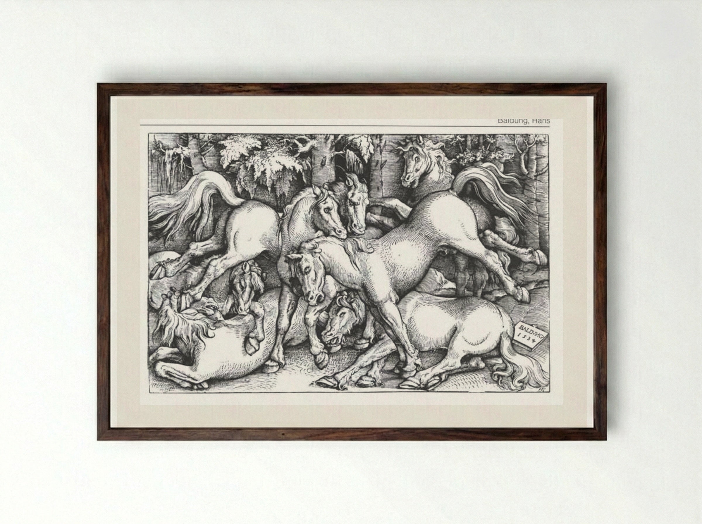The Seven Wild Horses - Hans Baldung Grien - Framed Print Dark Wood