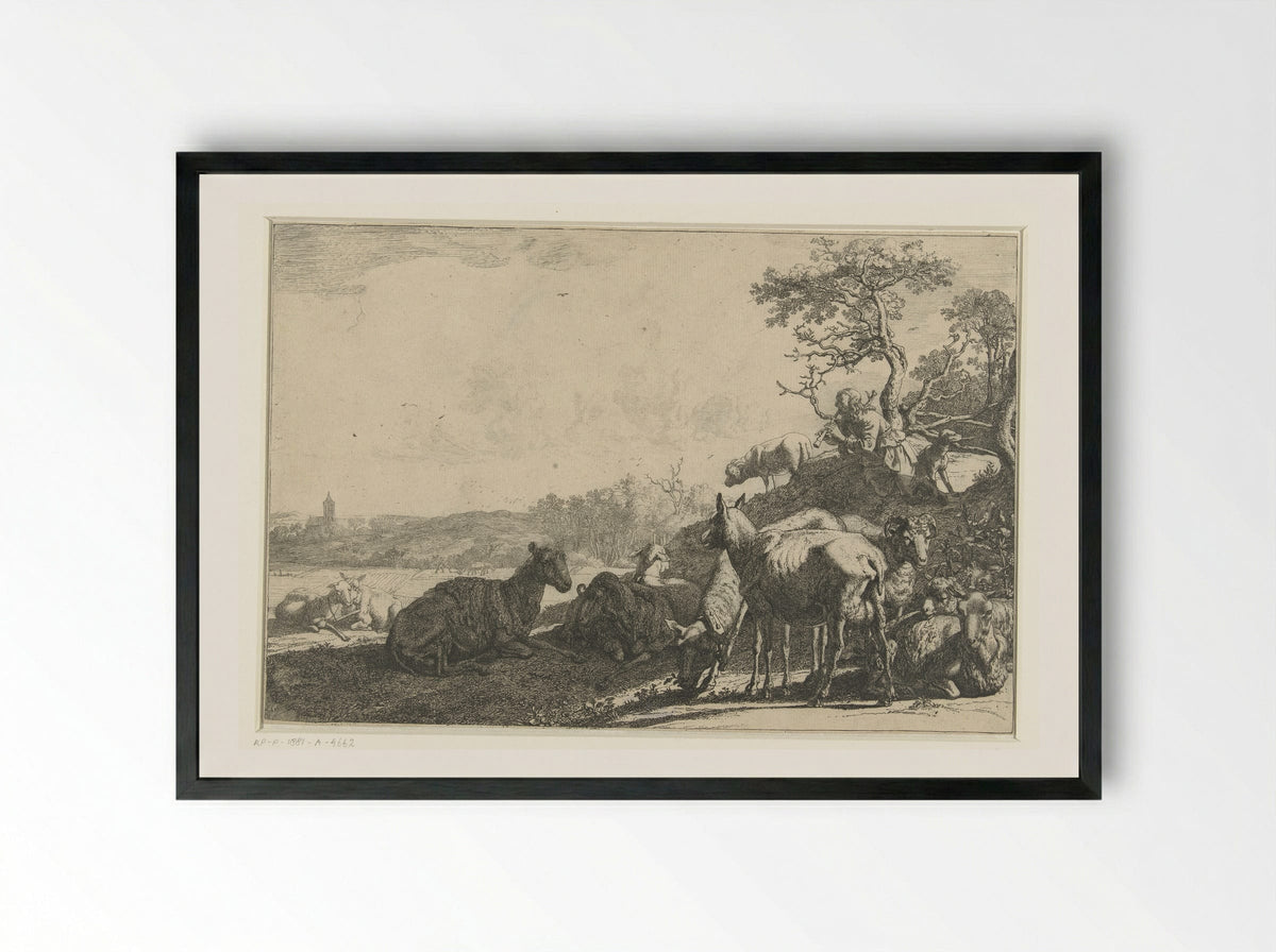 The Shepherd - Paulus Potter - Framed Print Black