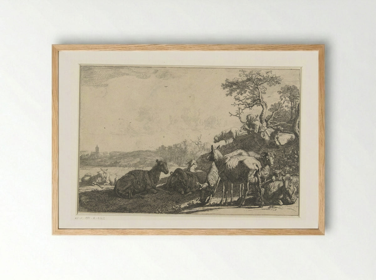 The Shepherd - Paulus Potter - Framed Print Wood
