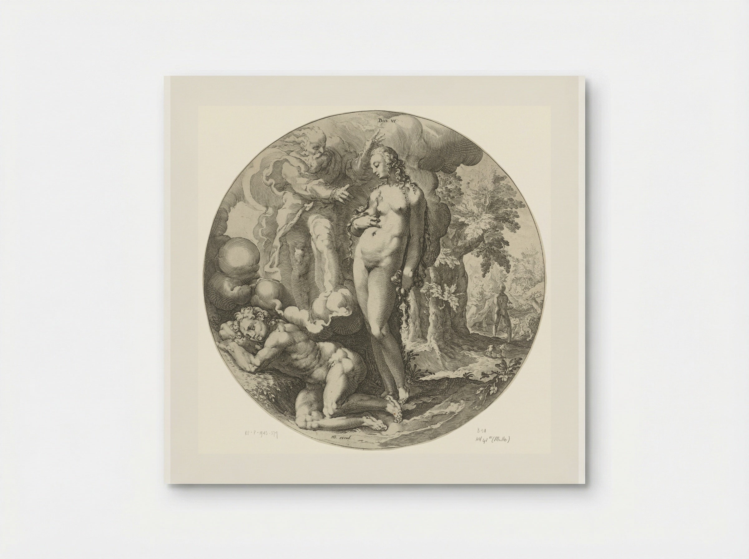 The Sixth Day of Creation: The Creation of Eve - Jan Harmensz. Muller - Poster