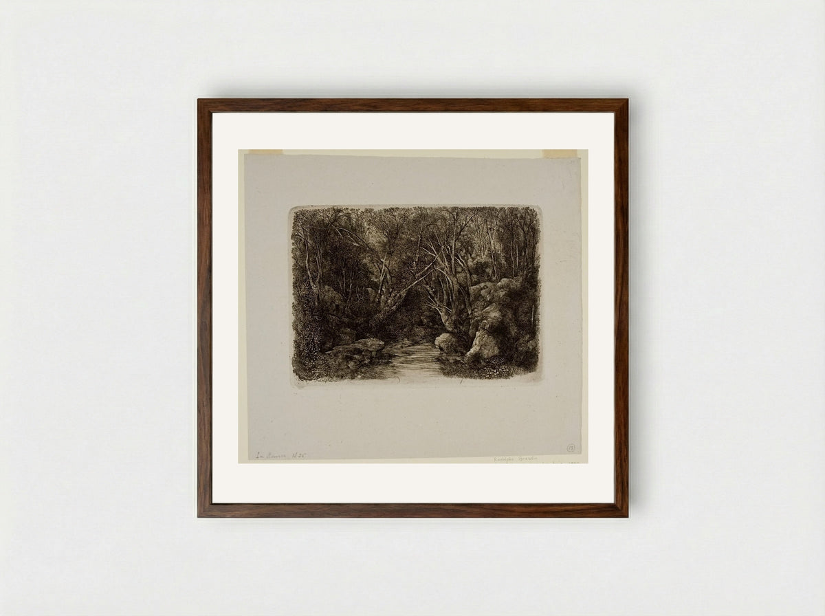 The Source (The Brook in the Forest) - Rodolphe Bresdin - Framed Print Dark Wood