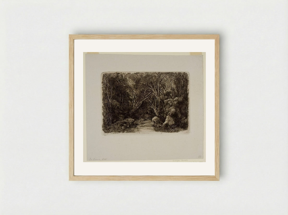 The Source (The Brook in the Forest) - Rodolphe Bresdin - Framed Print Wood