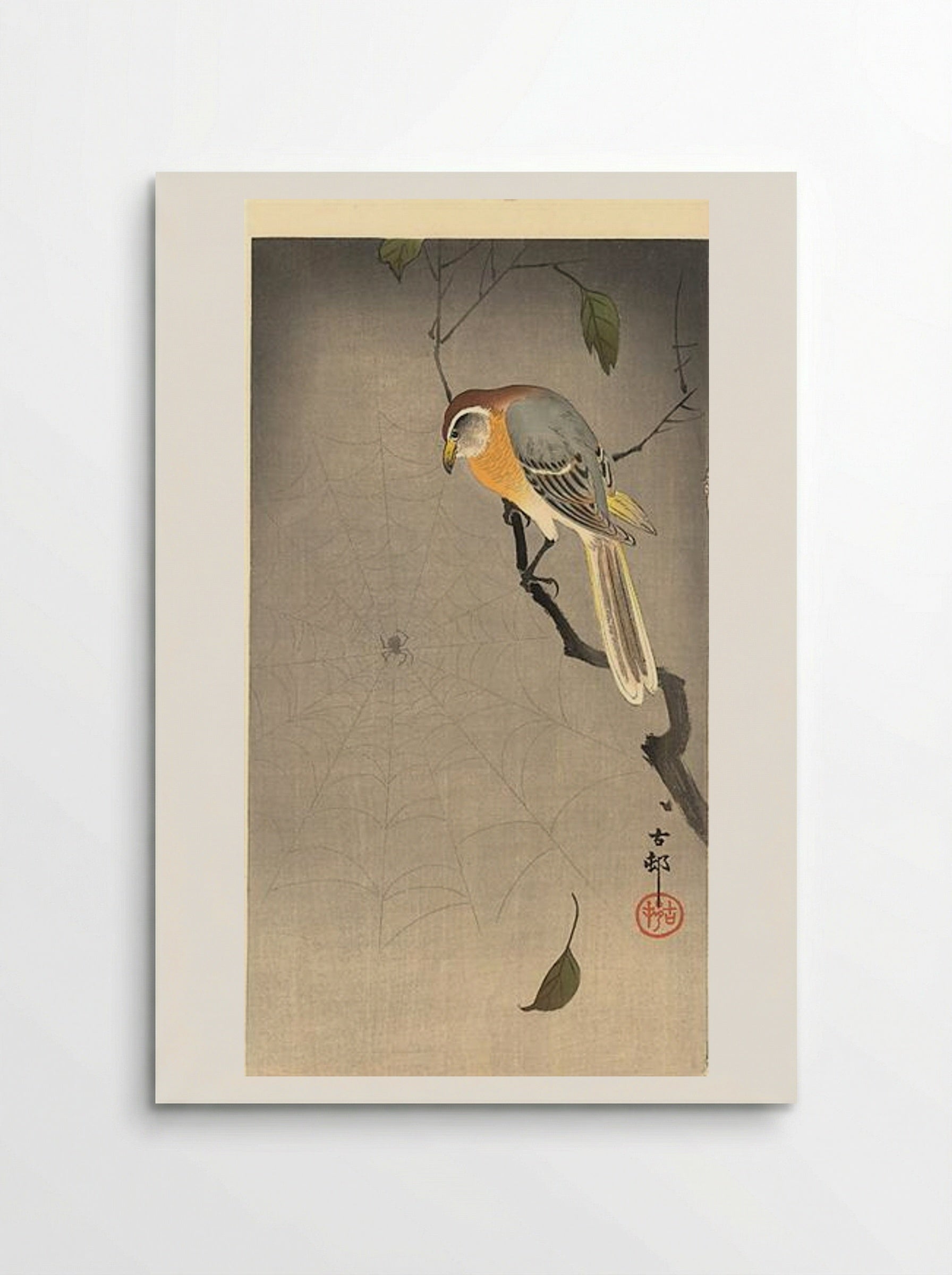The Spiderweb - Ohara Koson - Poster
