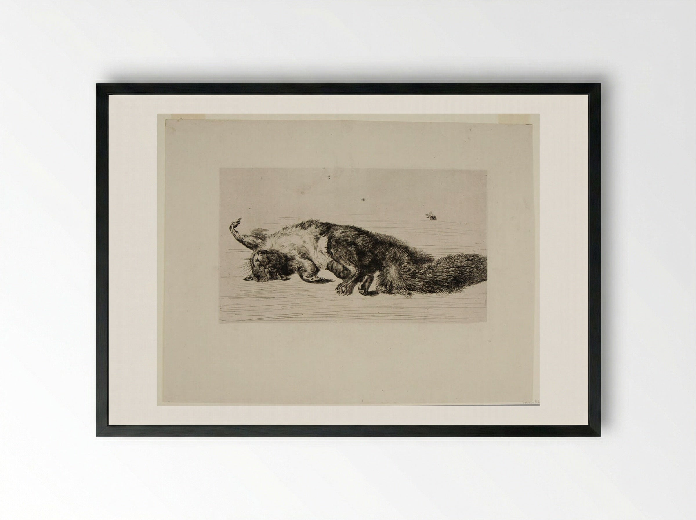 The Squirrel and the Fly - Jules Ferdinand Jacquemart - Framed Print Black