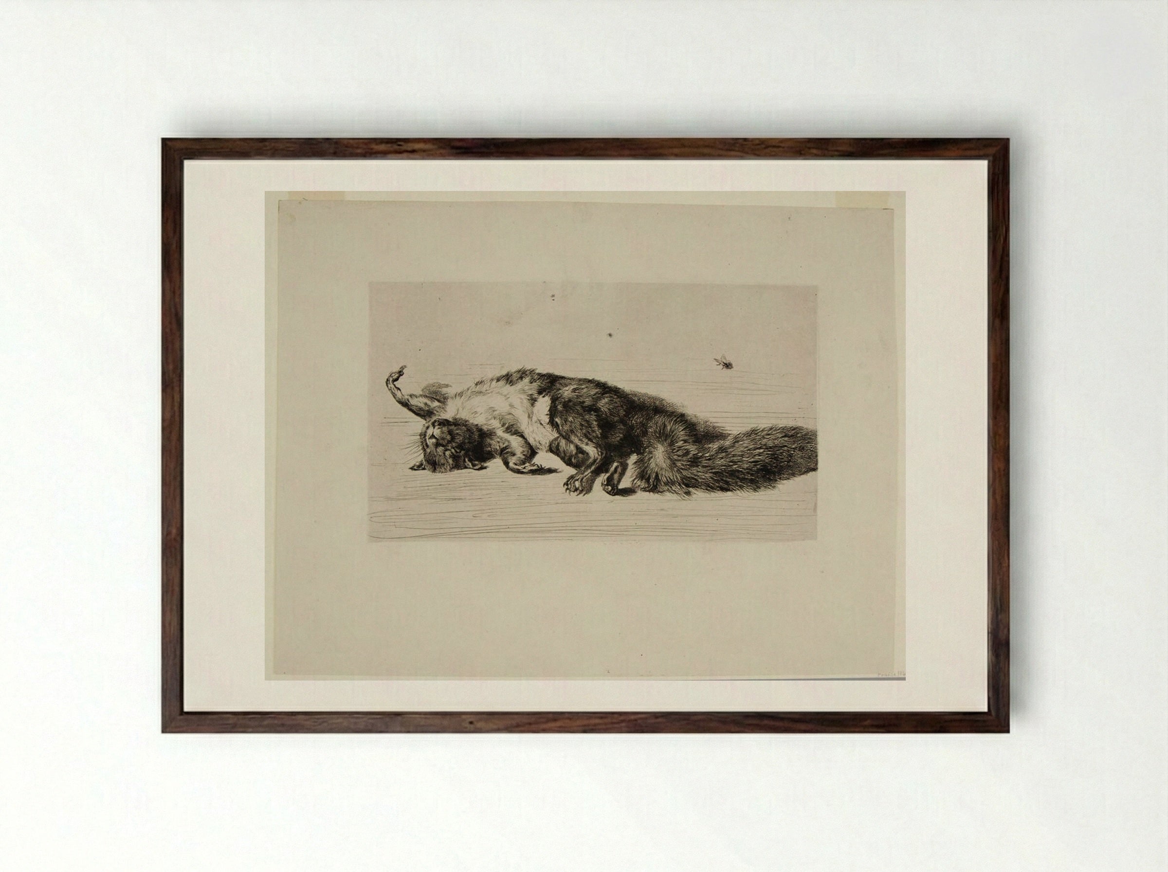 The Squirrel and the Fly - Jules Ferdinand Jacquemart - Framed Print Dark Wood