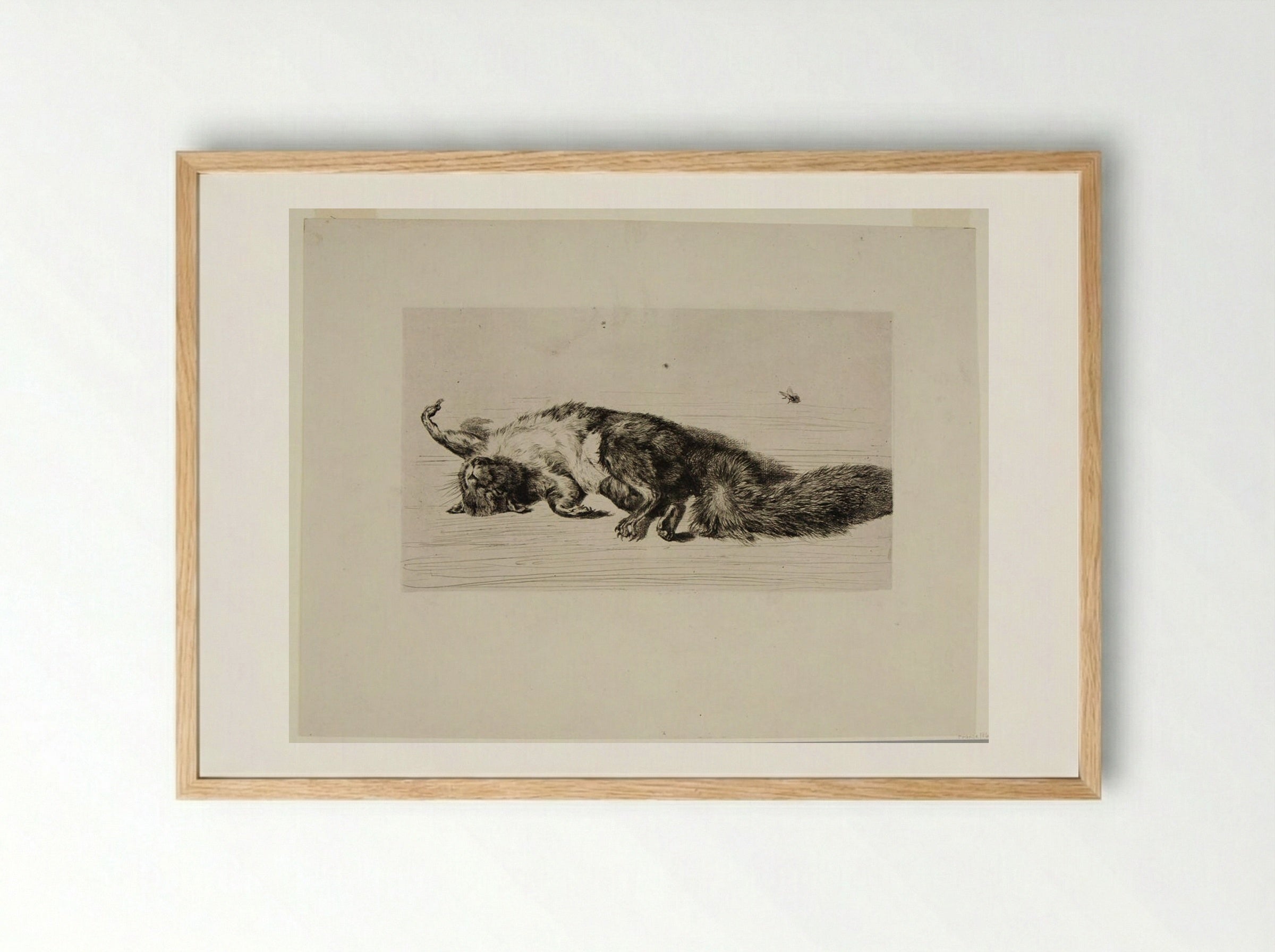 The Squirrel and the Fly - Jules Ferdinand Jacquemart - Framed Print Wood