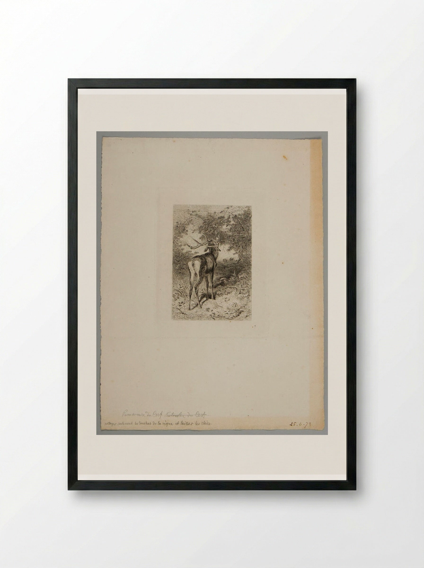 The Stag and the Grapevine - Karl Bodmer - Framed Print Black