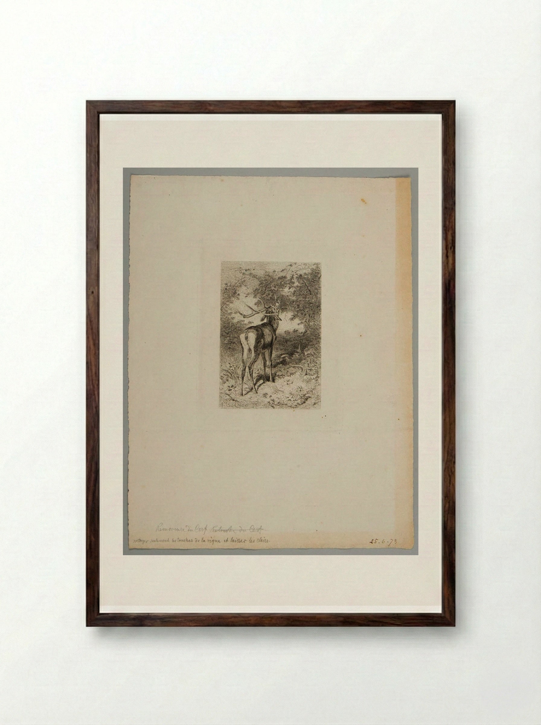The Stag and the Grapevine - Karl Bodmer - Framed Print Dark Wood
