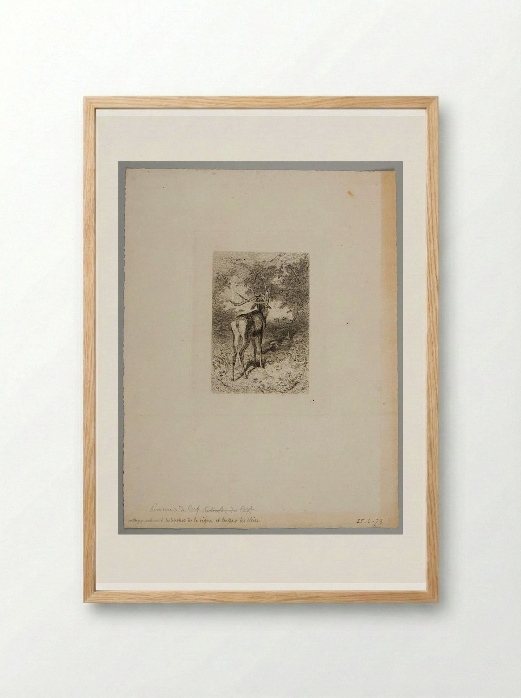 The Stag and the Grapevine - Karl Bodmer - Framed Print Wood