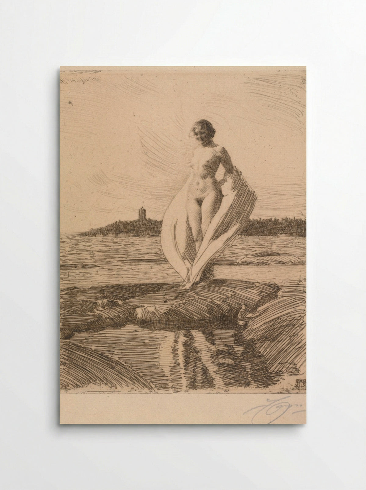 The Swan - Anders Zorn - Poster