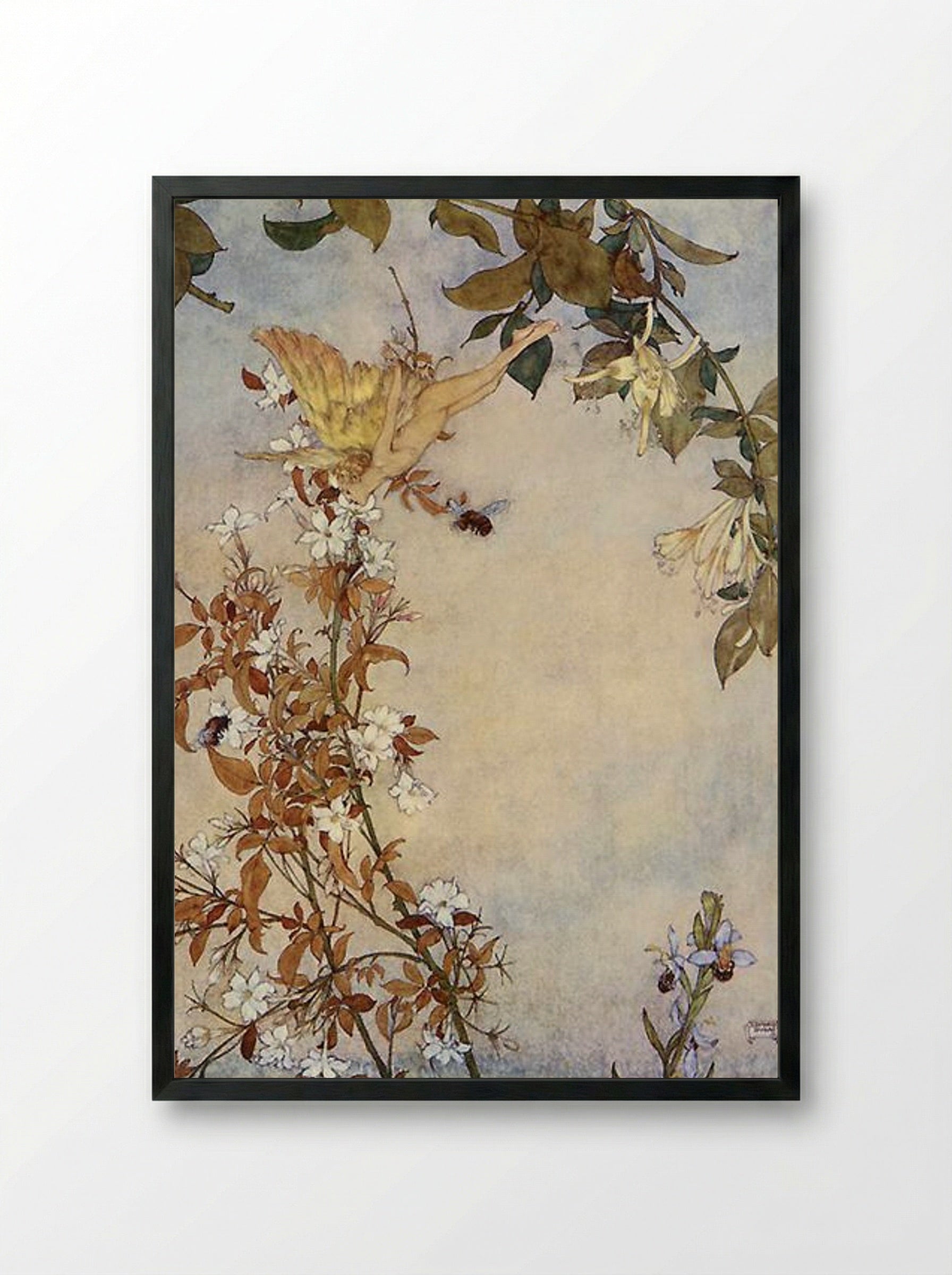 The Tempest: Ariel and the Bee - Edmund Dulac - Framed Print Black