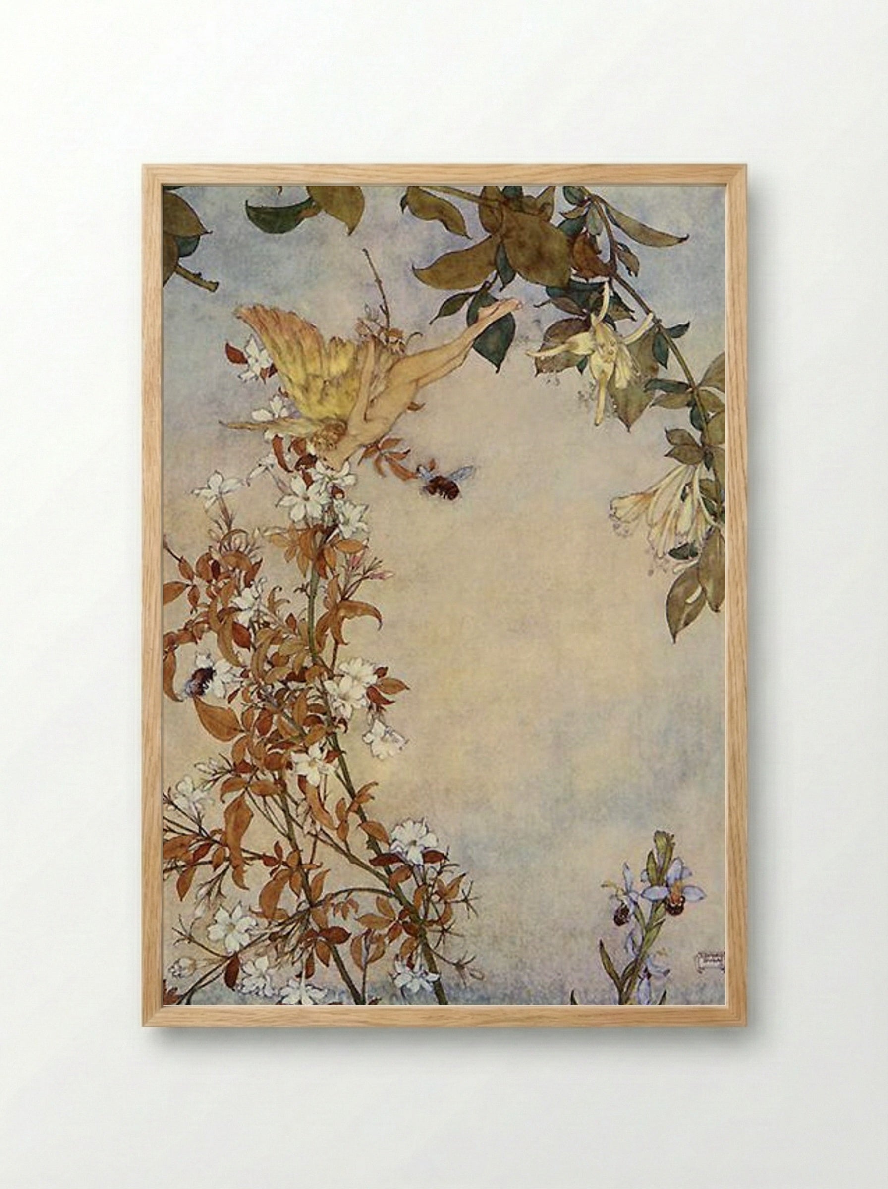 The Tempest: Ariel and the Bee - Edmund Dulac - Framed Print Wood