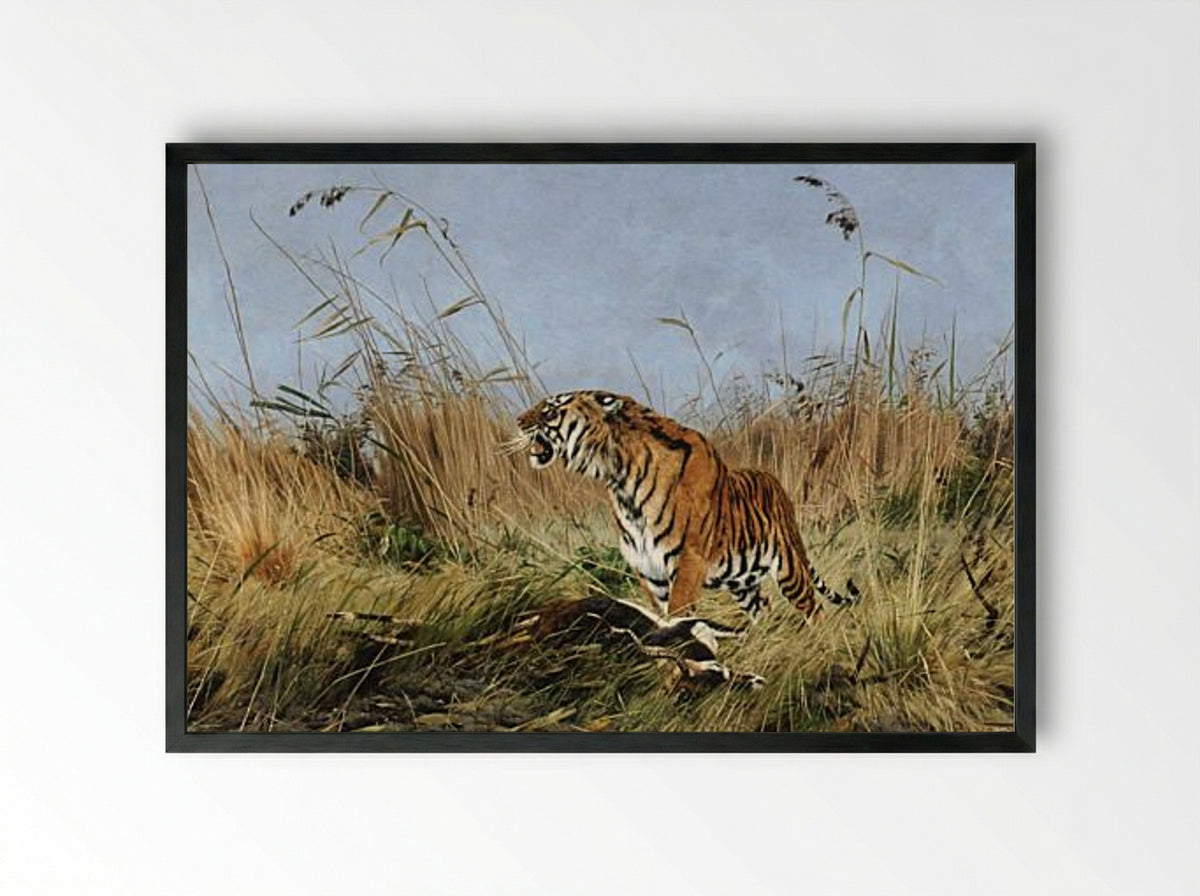 The Tiger - Richard Friese - Framed Print Black
