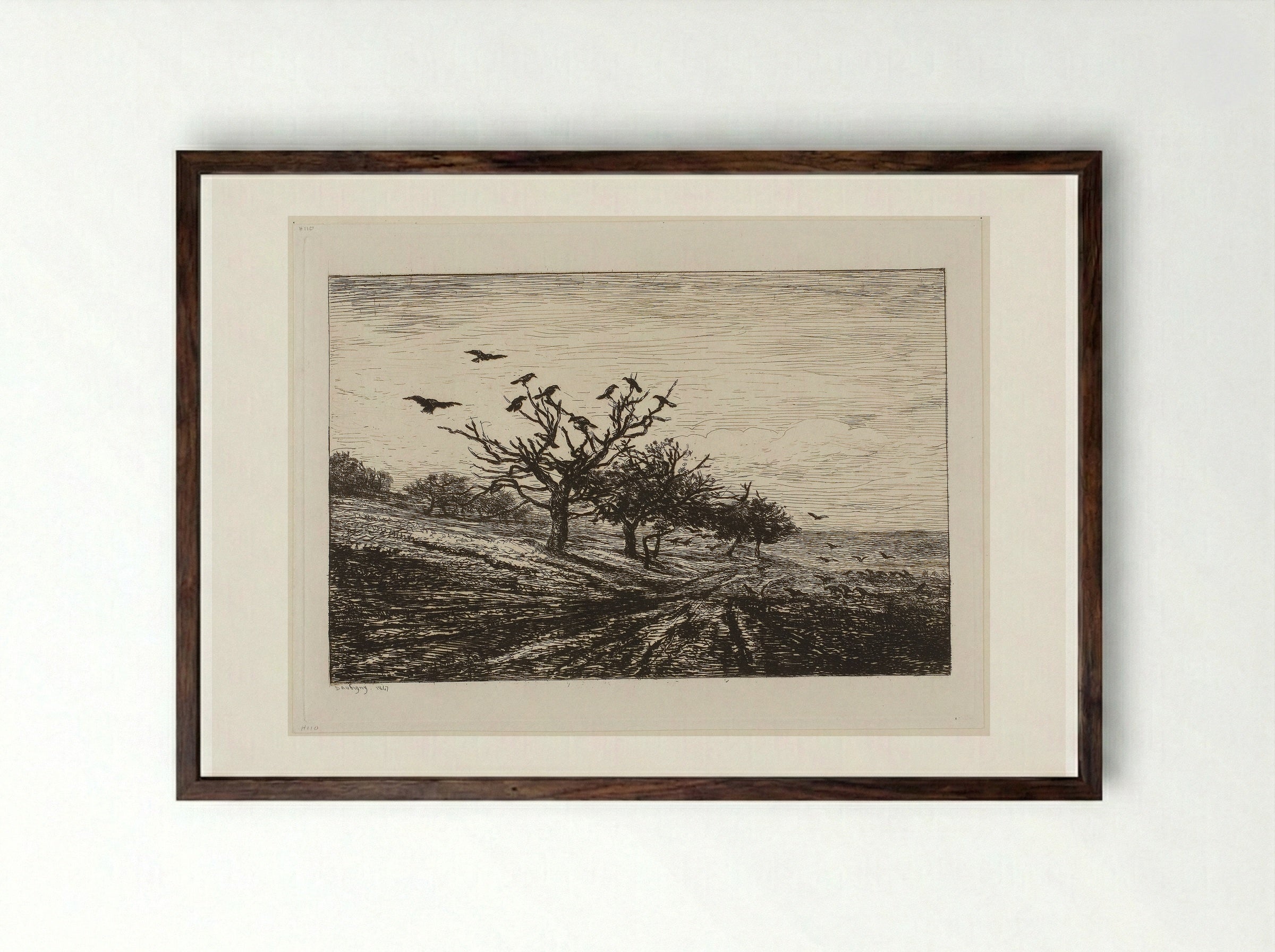 The Tree with the Crows - Charles-François Daubigny - Framed Print Dark Wood