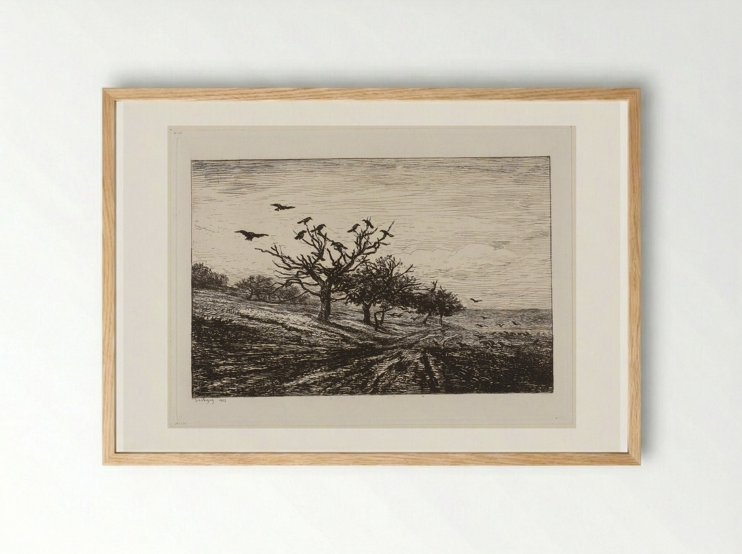 The Tree with the Crows - Charles-François Daubigny - Framed Print Wood