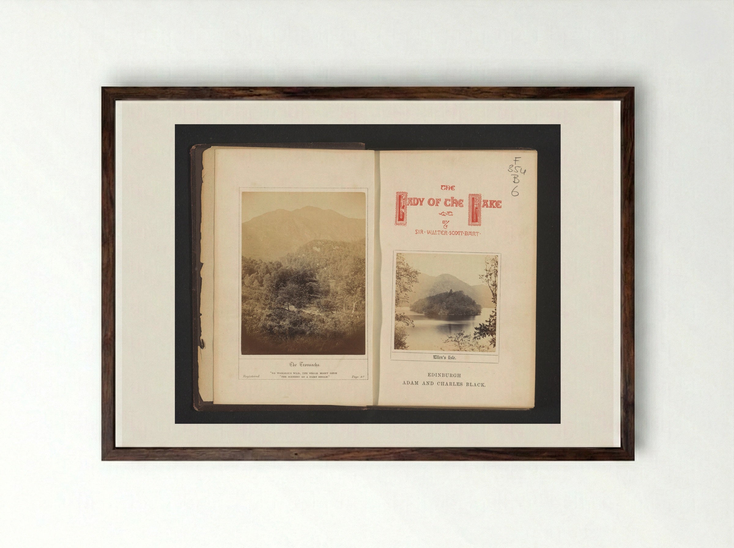 The Trossachs and Ellen's Isle - George Washington Wilson - Framed Print Dark Wood
