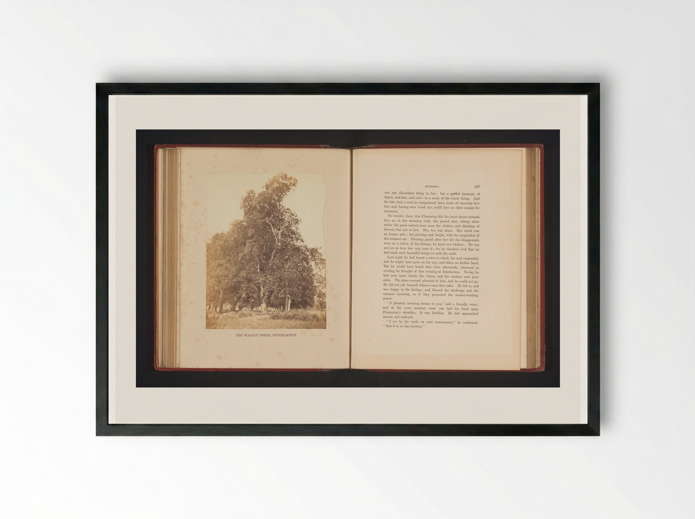 The Walnut Trees, Interlachen - Francis Frith - Framed Print Black