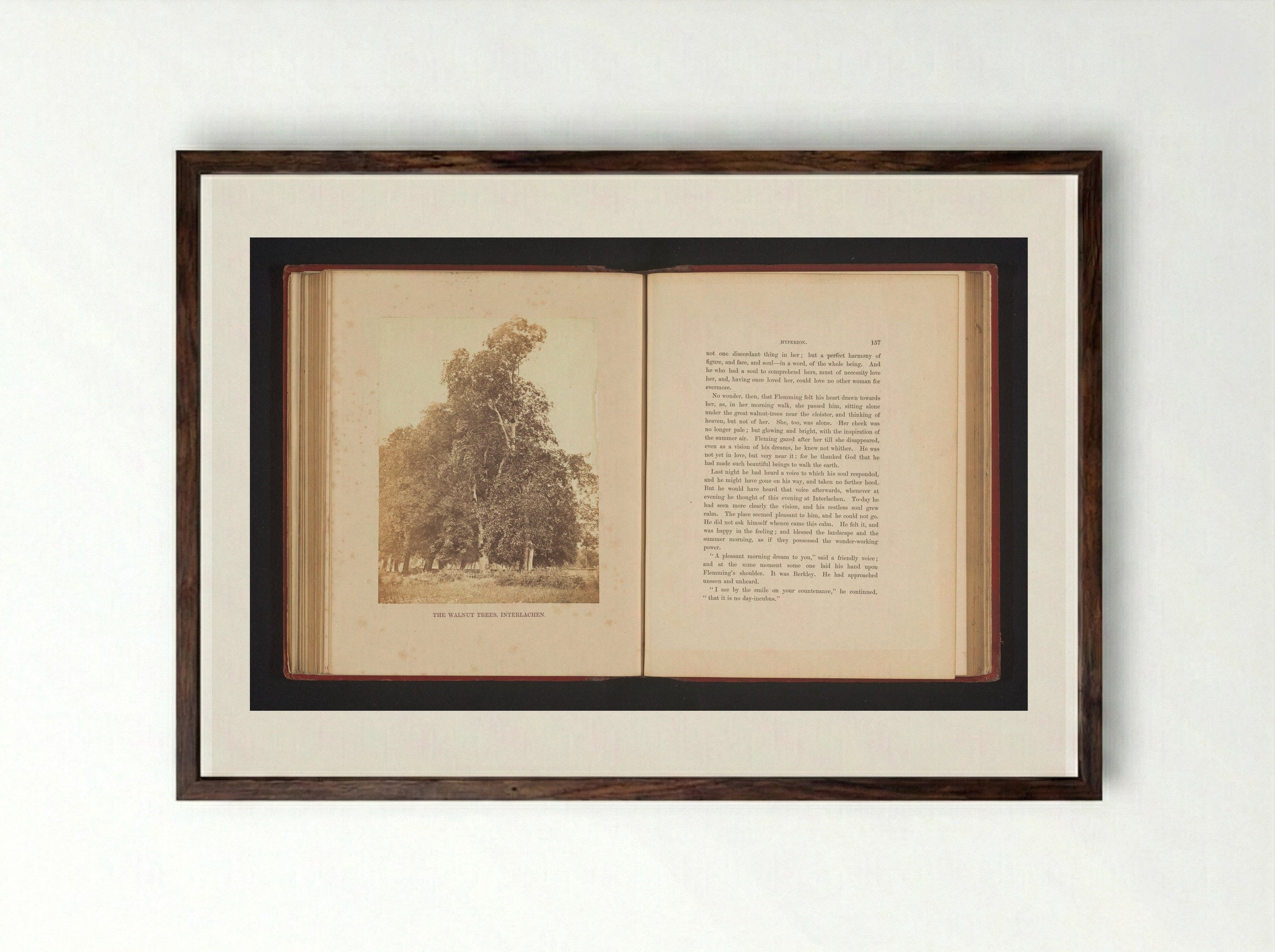 The Walnut Trees, Interlachen - Francis Frith - Framed Print Dark Wood