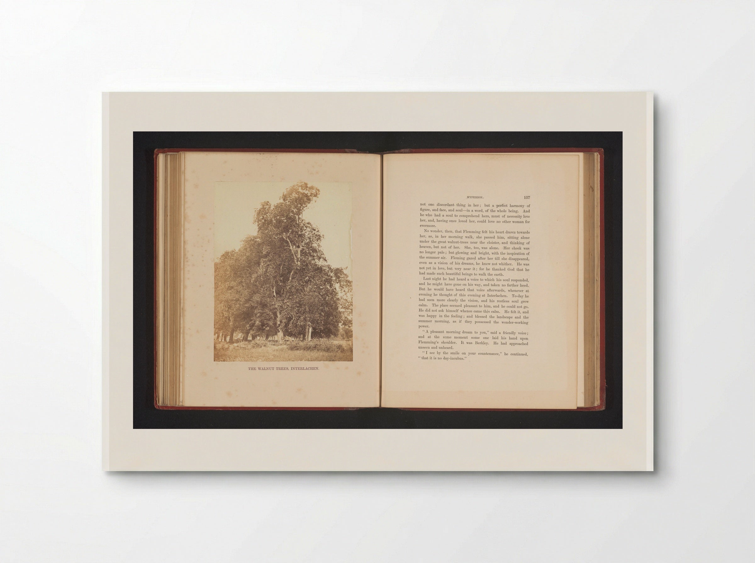 The Walnut Trees, Interlachen - Francis Frith - Poster