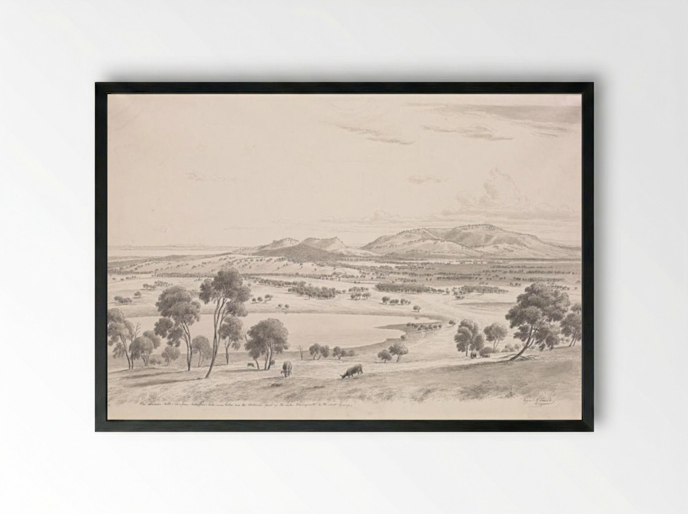 The Warrion Hills seen from Robertson's Hill near Colac and in the distance part of the Lake Corangamite and the Australian Pyrenees - Eugene von Guerard - Framed Print Black