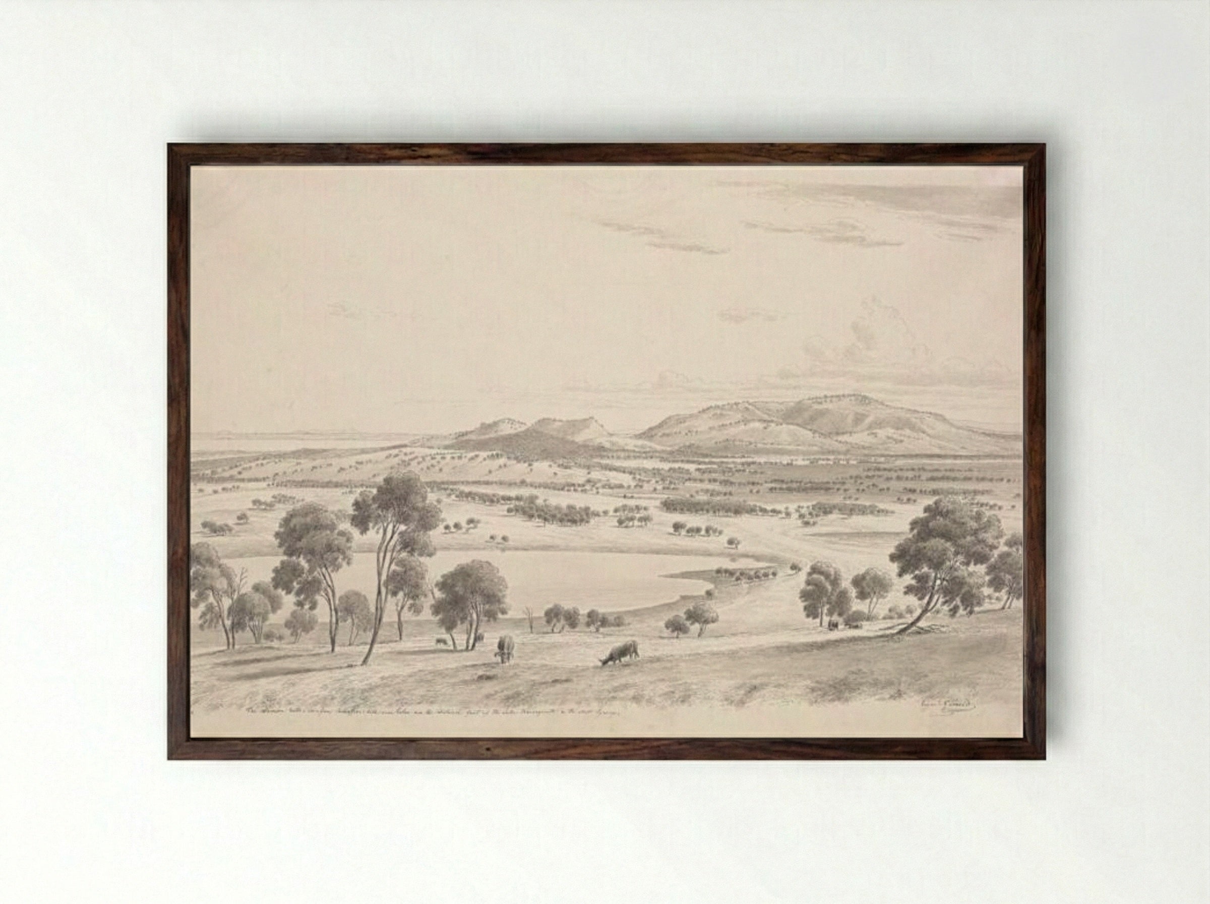 The Warrion Hills seen from Robertson's Hill near Colac and in the distance part of the Lake Corangamite and the Australian Pyrenees - Eugene von Guerard - Framed Print Dark Wood