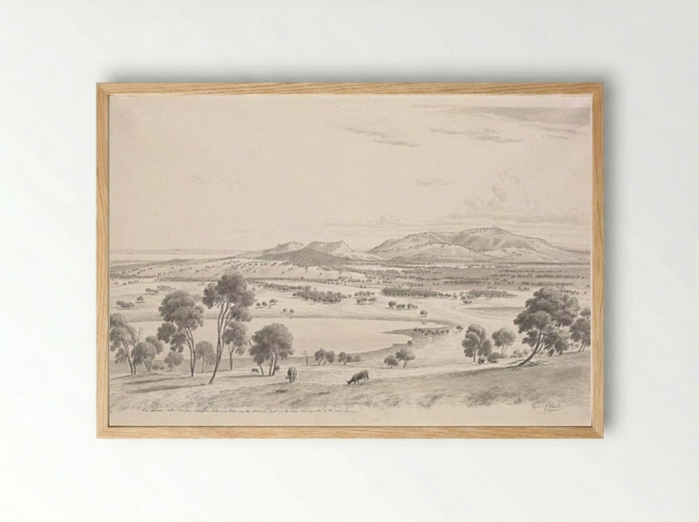 The Warrion Hills seen from Robertson's Hill near Colac and in the distance part of the Lake Corangamite and the Australian Pyrenees - Eugene von Guerard - Framed Print Wood