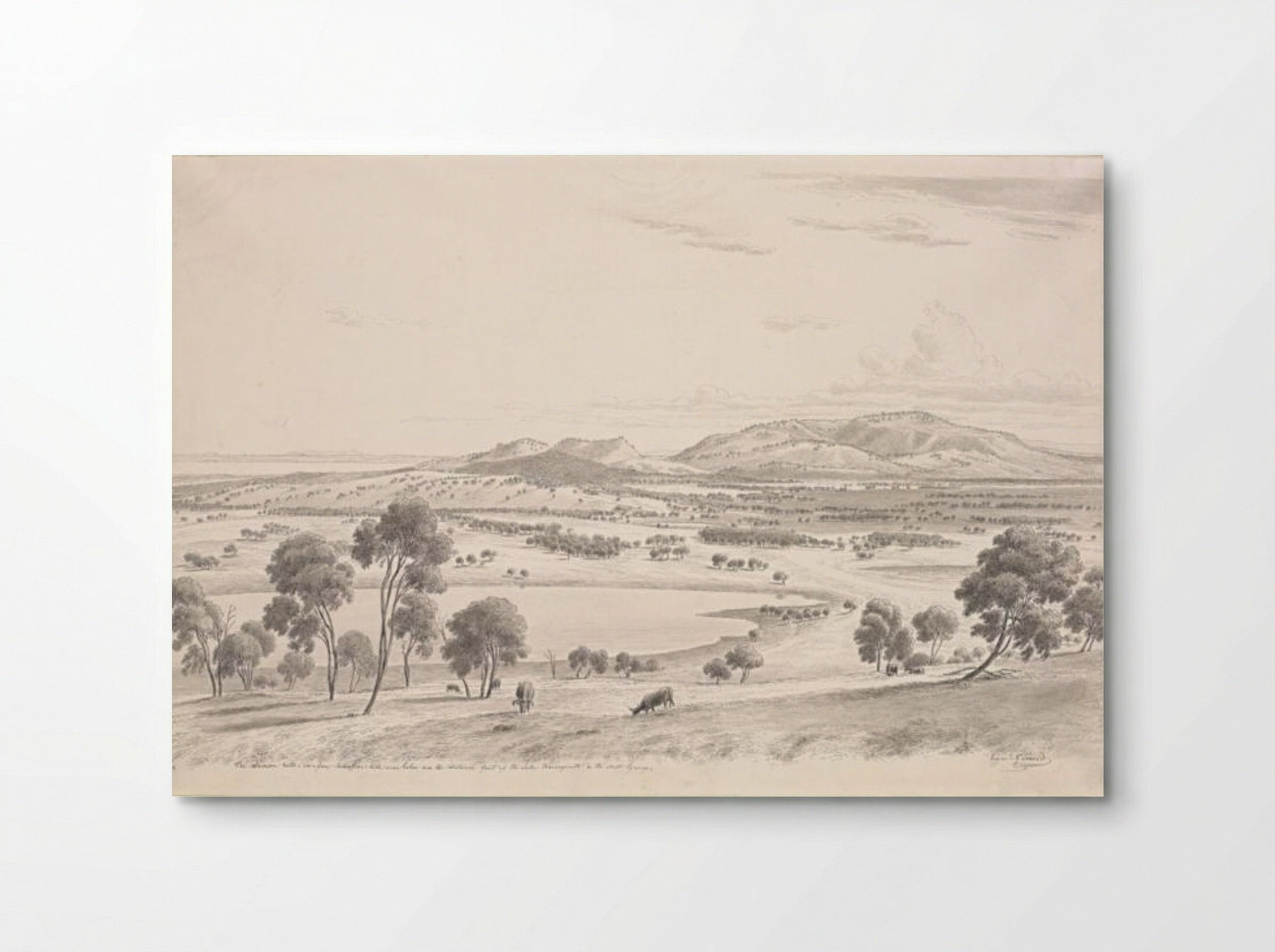 The Warrion Hills seen from Robertson's Hill near Colac and in the distance part of the Lake Corangamite and the Australian Pyrenees - Eugene von Guerard - Poster