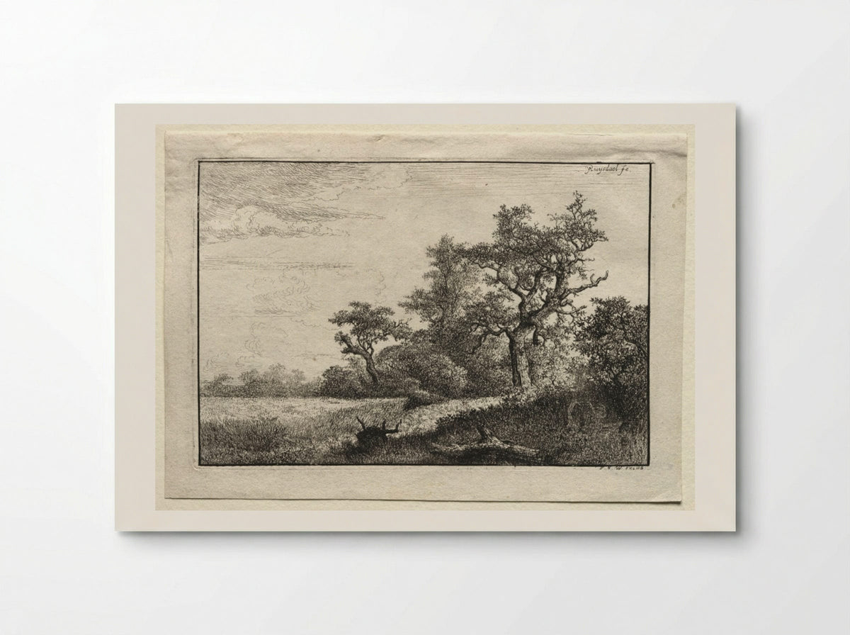 The Wheat Field - Jacob van Ruisdael - Poster