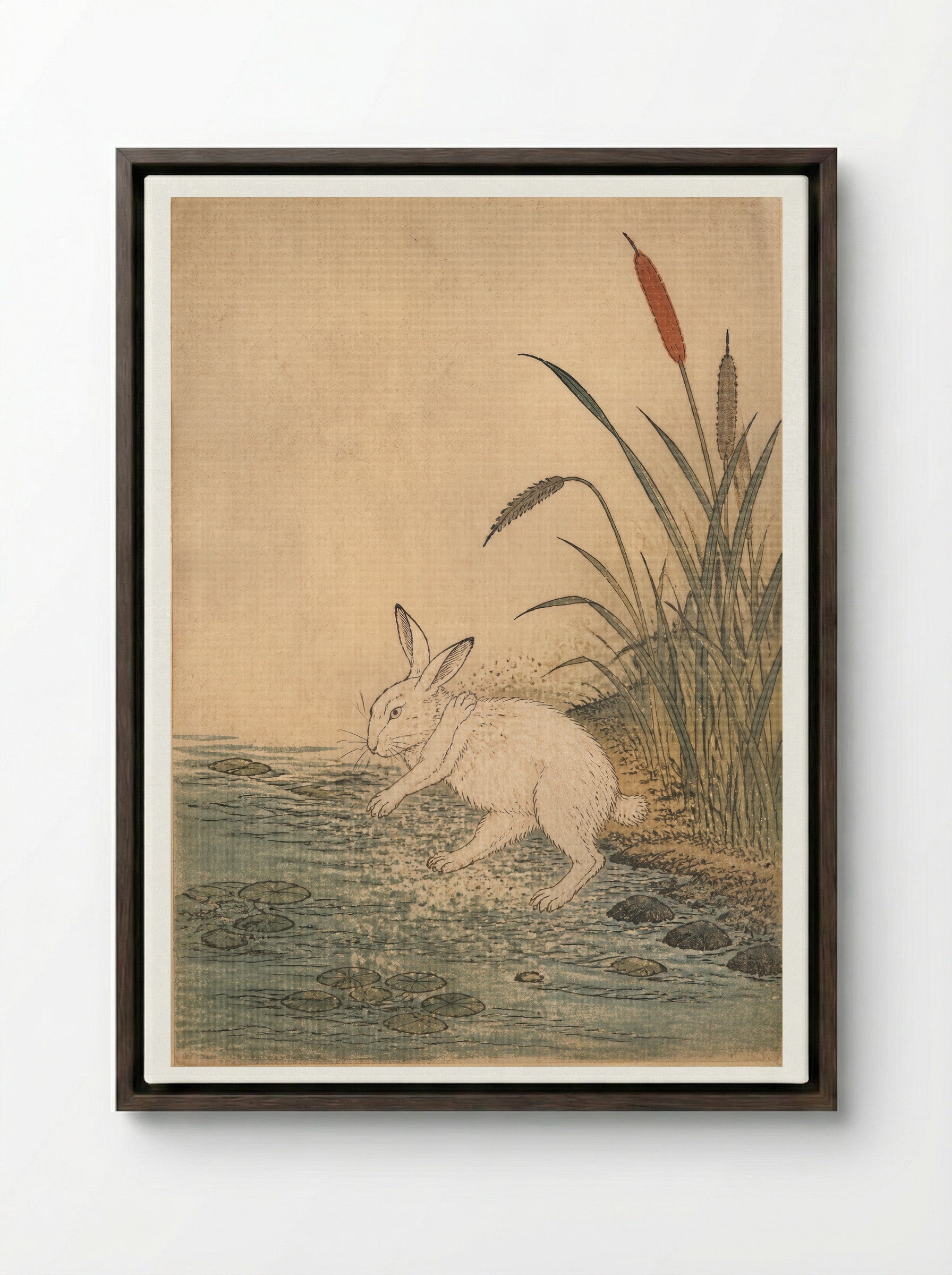 The White Hare of Inaba: Cattails at Cape Keta - Framed Canvas Dark Wood
