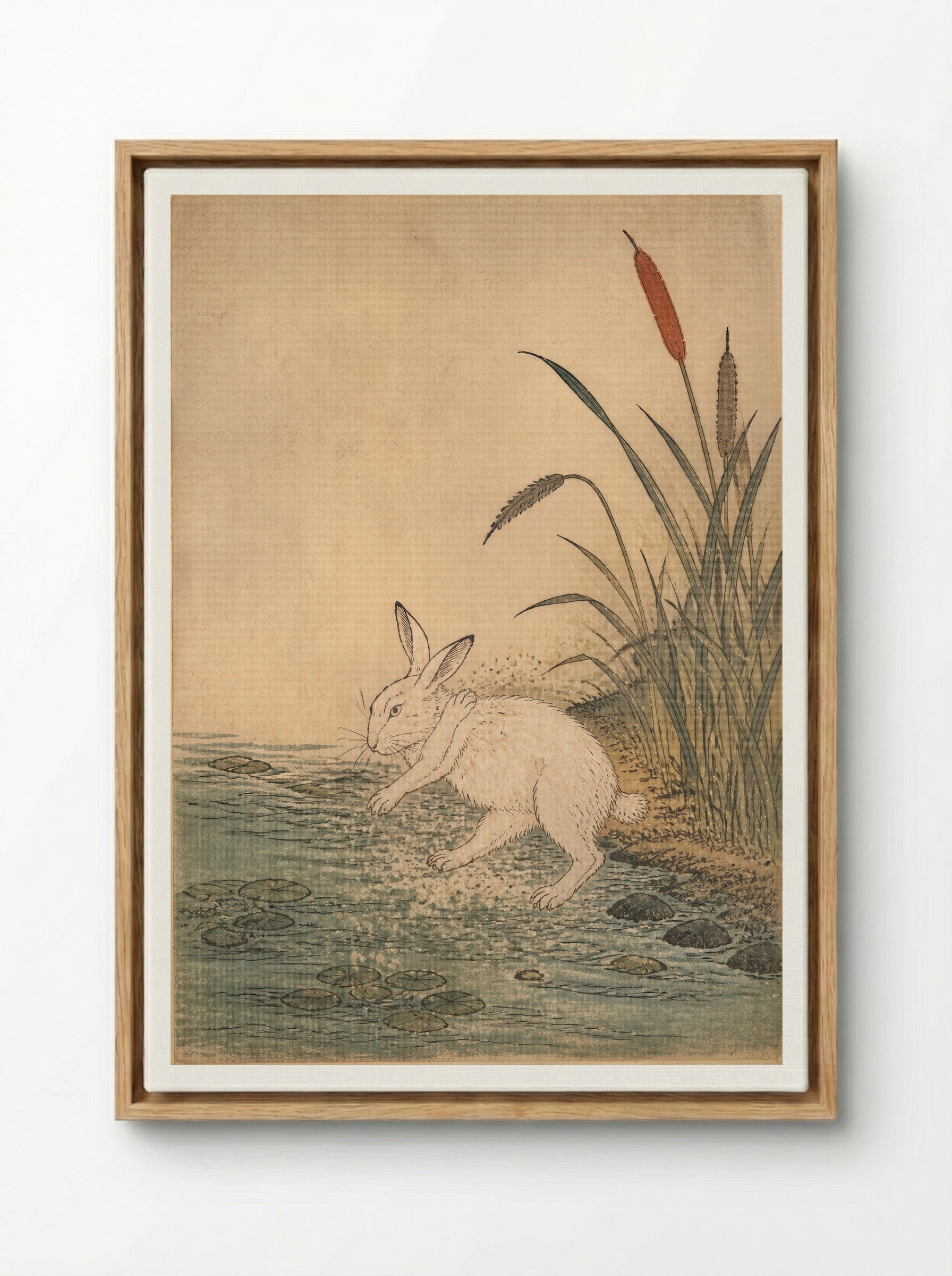 The White Hare of Inaba: Cattails at Cape Keta - Framed Canvas Wood