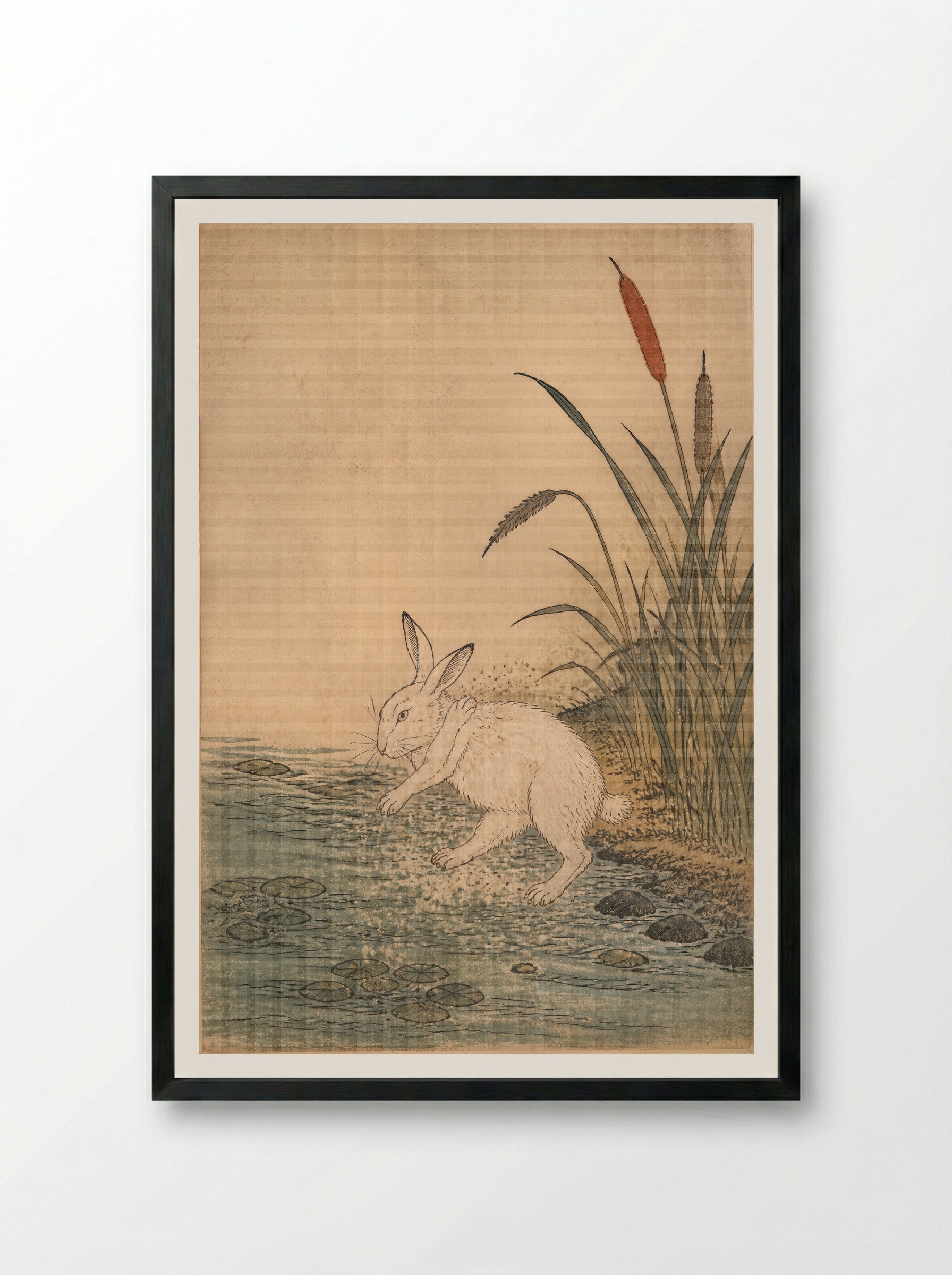 The White Hare of Inaba: Cattails at Cape Keta - Framed Print Black