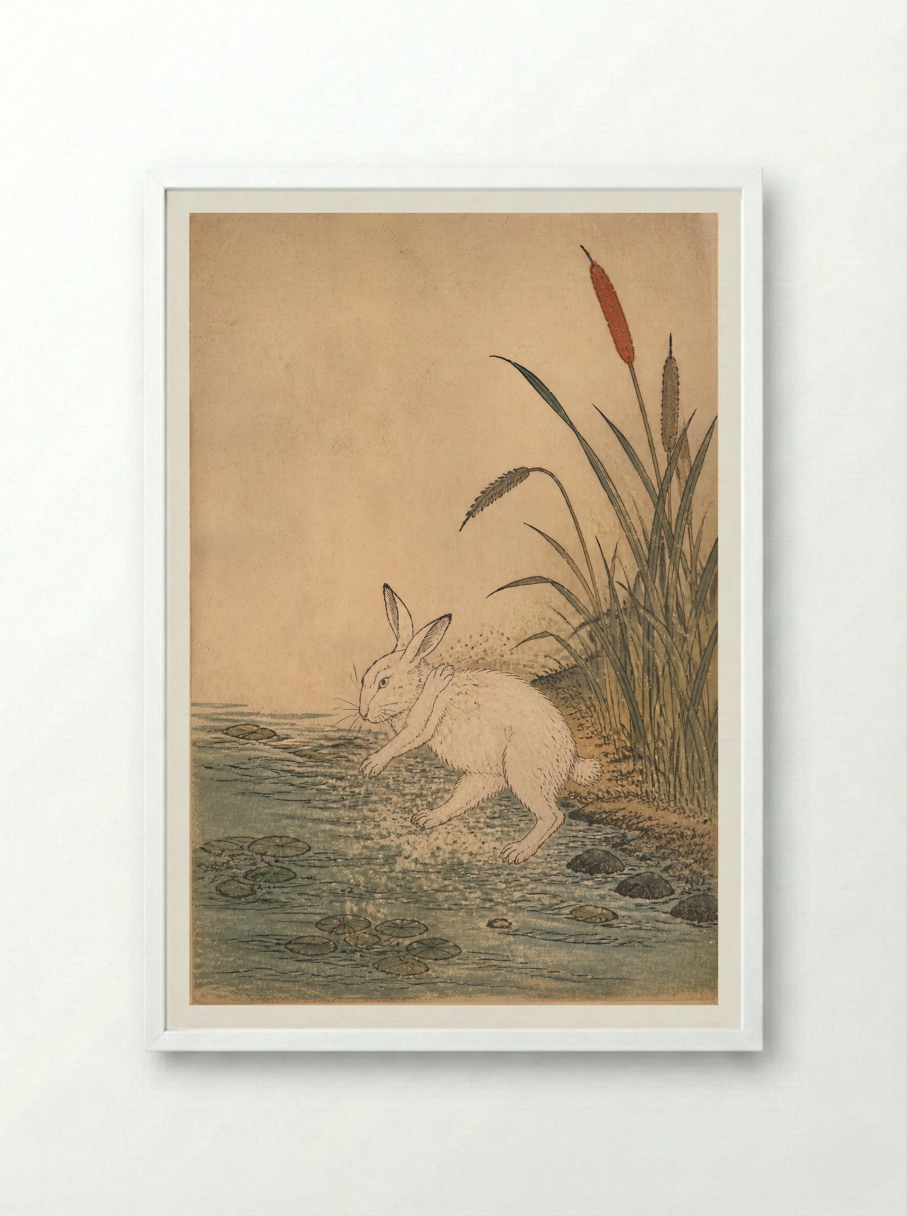 The White Hare of Inaba: Cattails at Cape Keta - Framed Print White